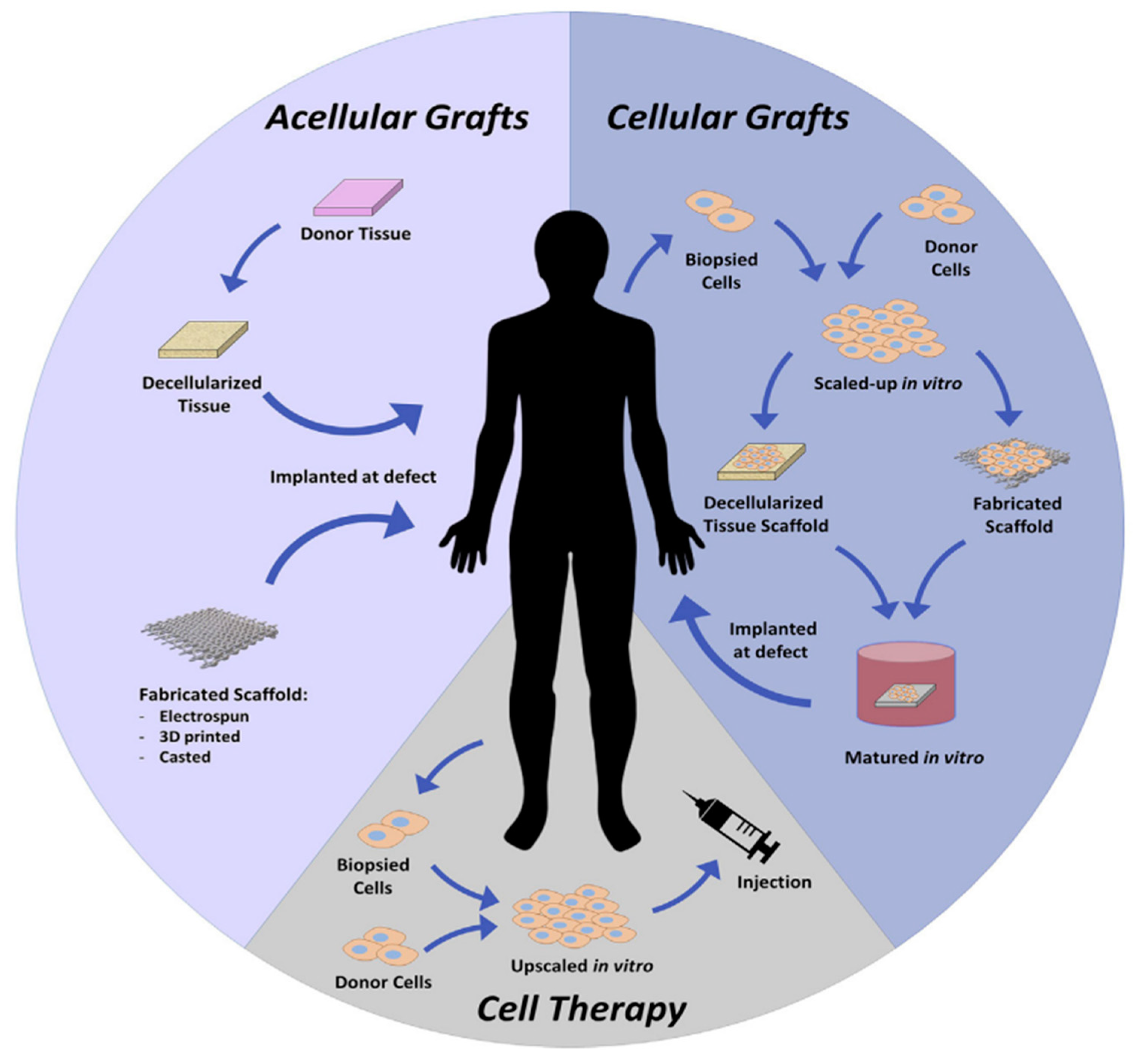 Materials 17 02439 g018