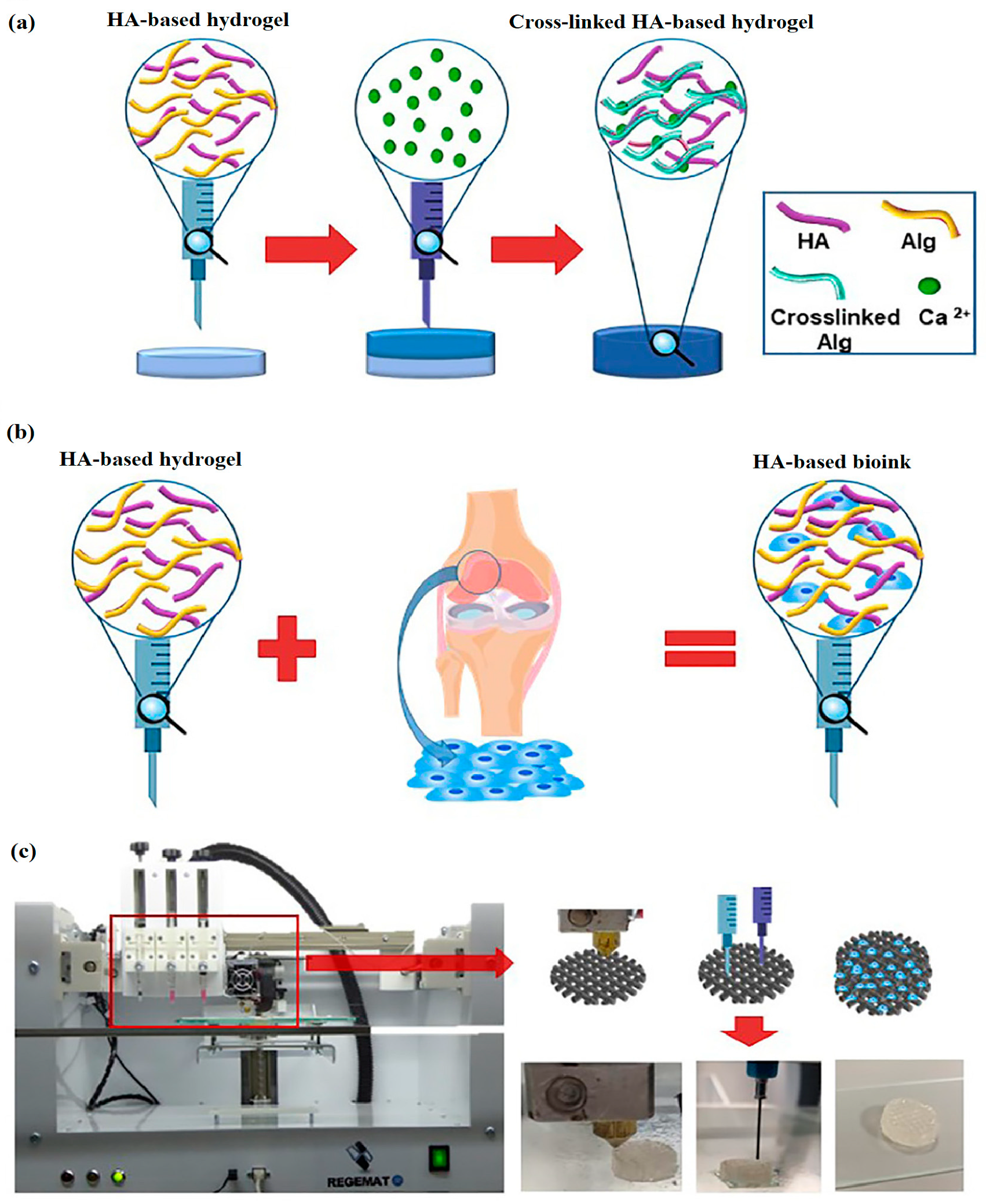 Materials 17 02439 g021