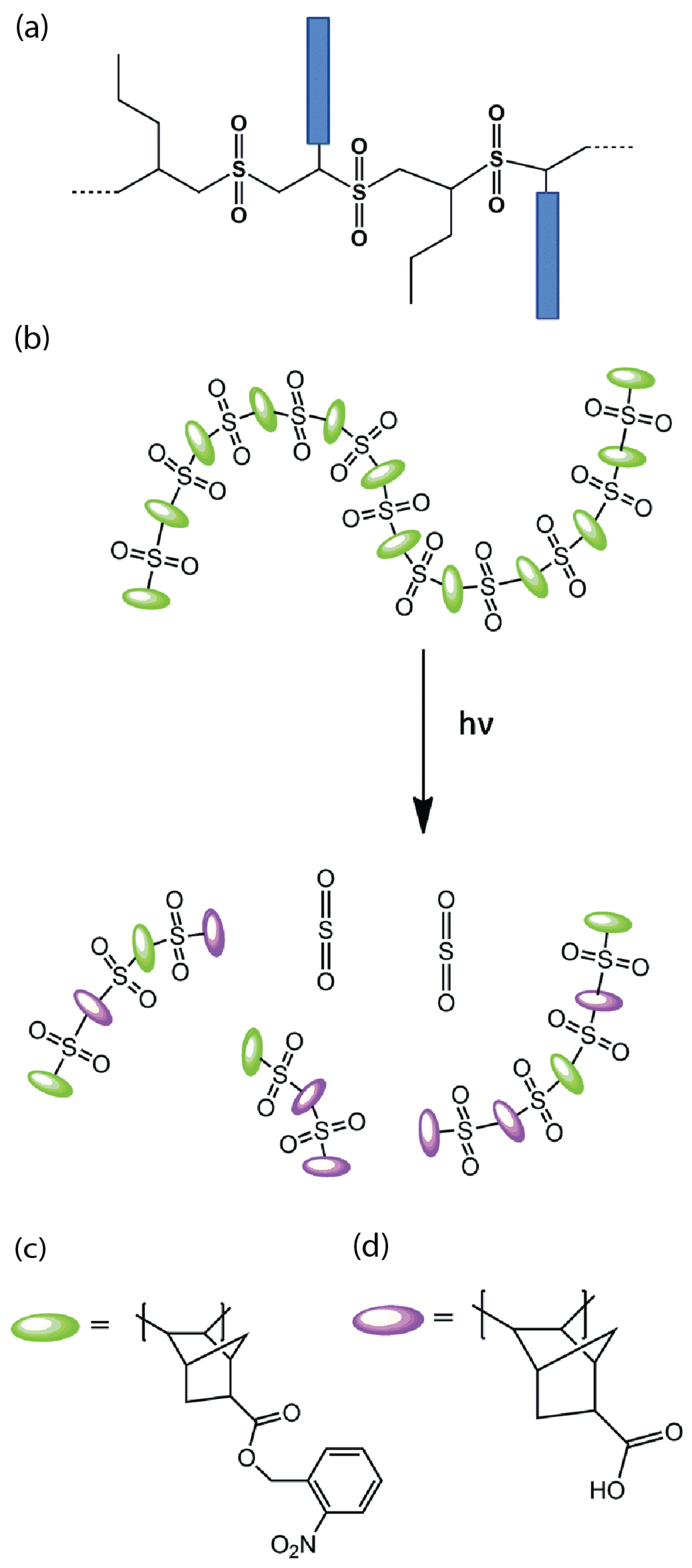 Materials 17 02552 g001