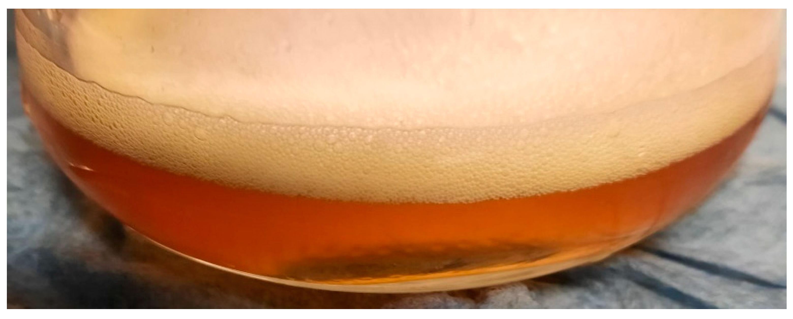 Materials 17 02588 g008