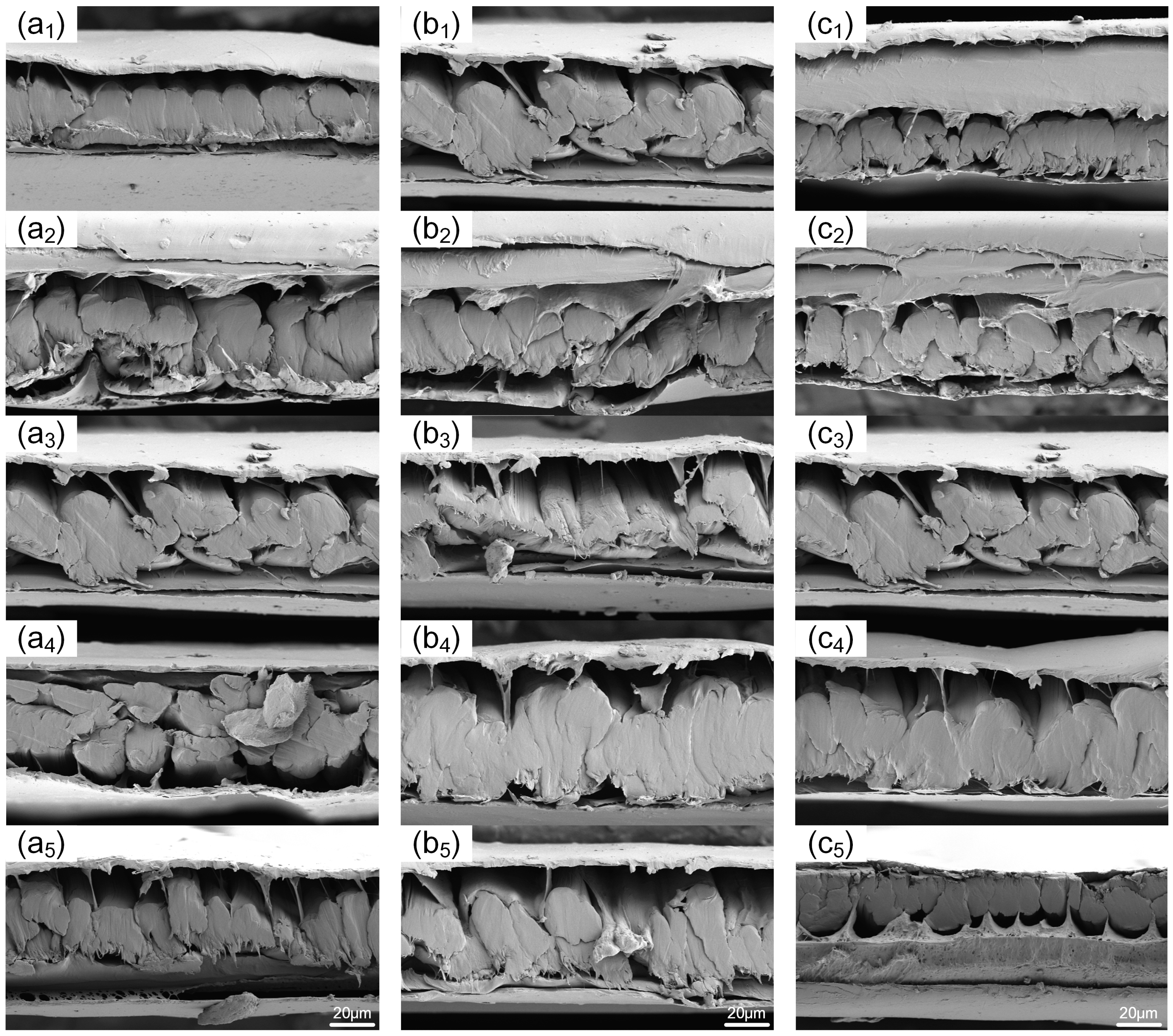 Materials 17 02611 g007