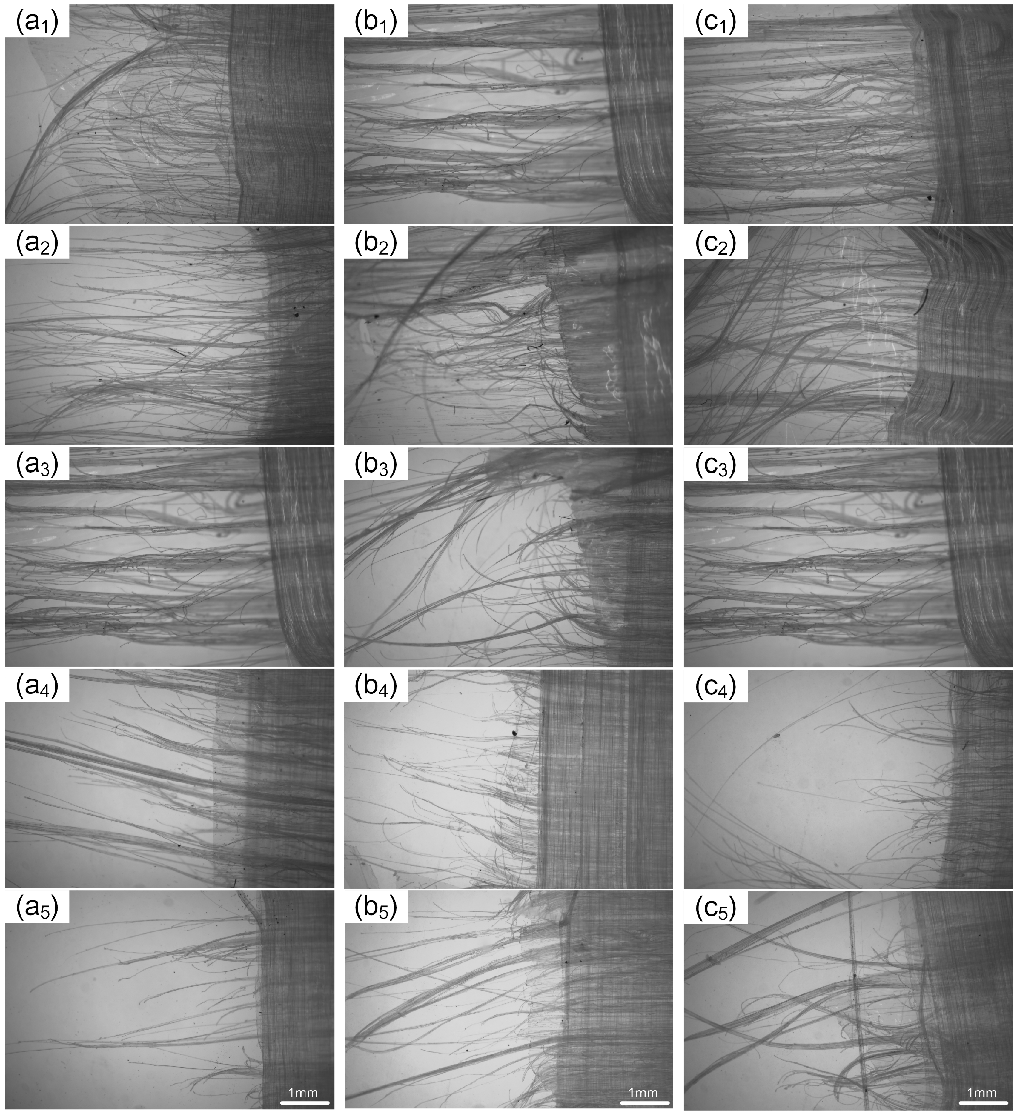 Materials 17 02611 g008