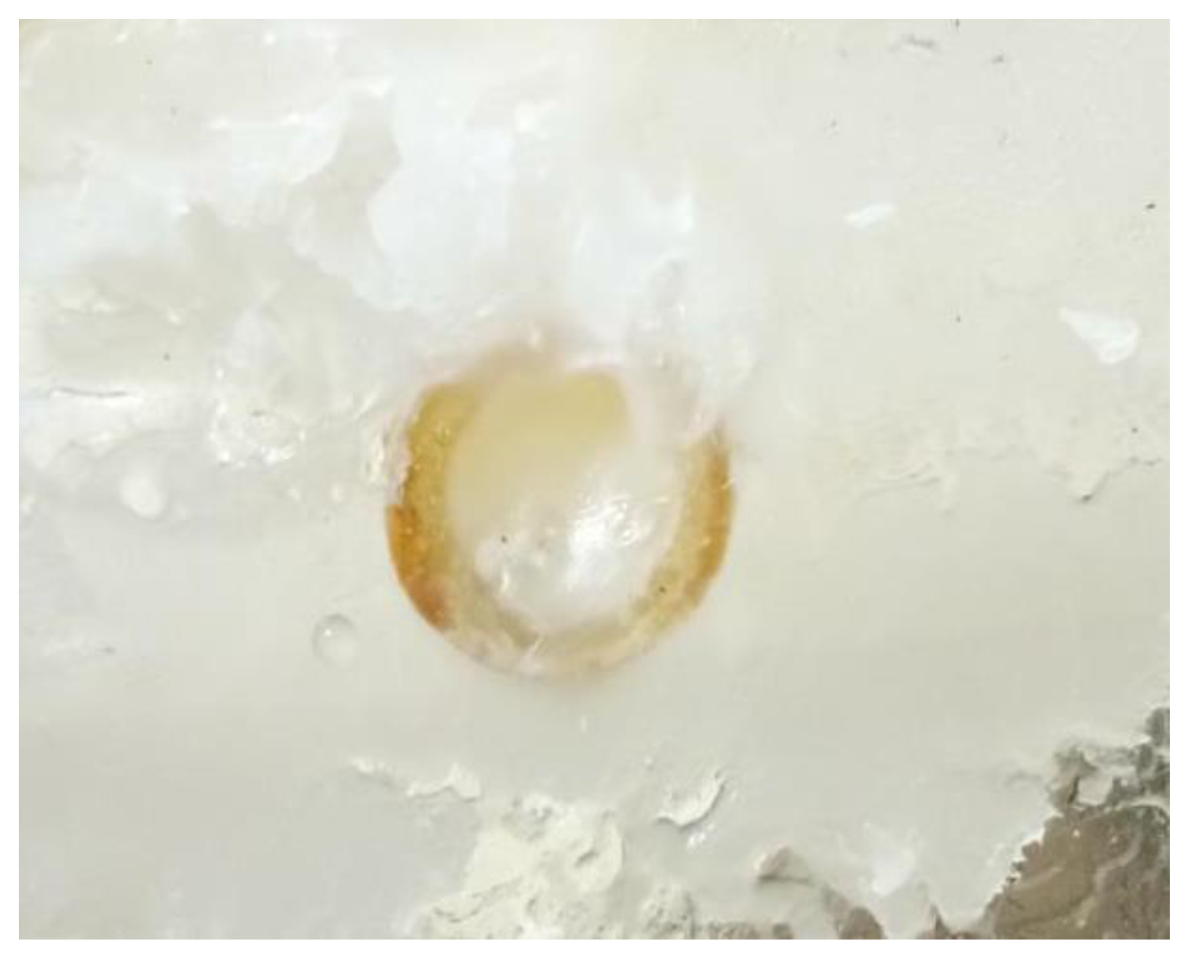 Materials 17 02647 g008