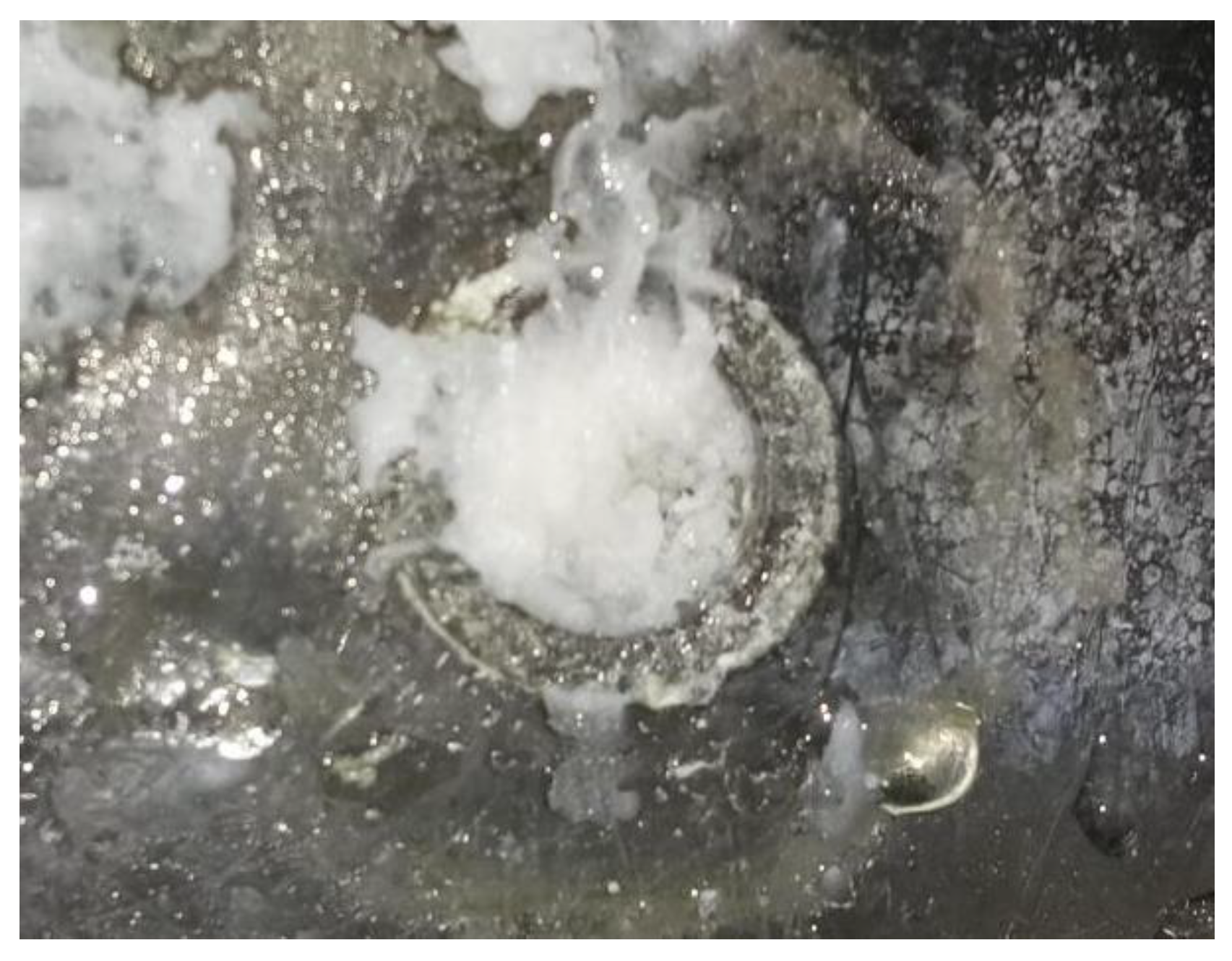 Materials 17 02647 g010