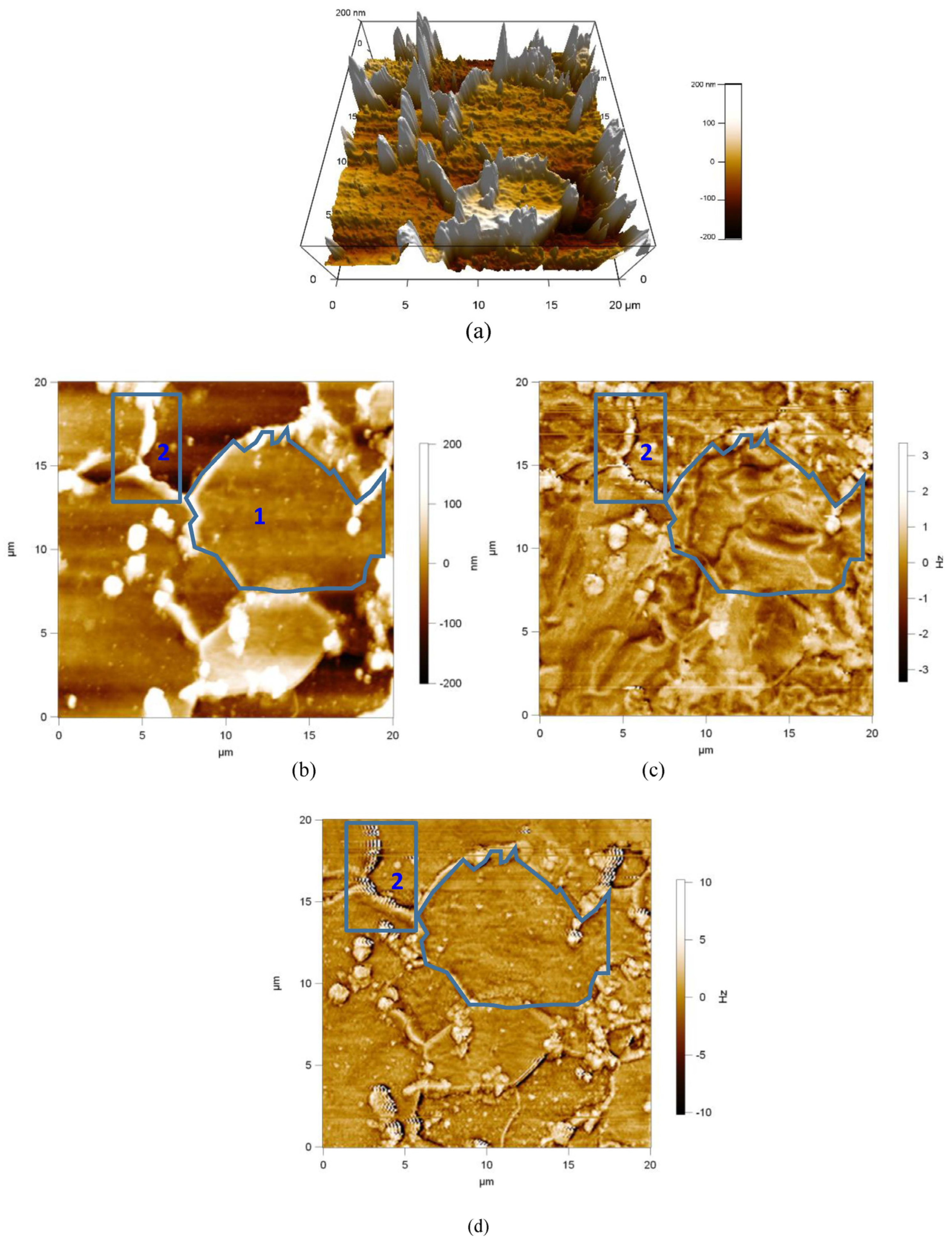 Materials 17 02657 g010