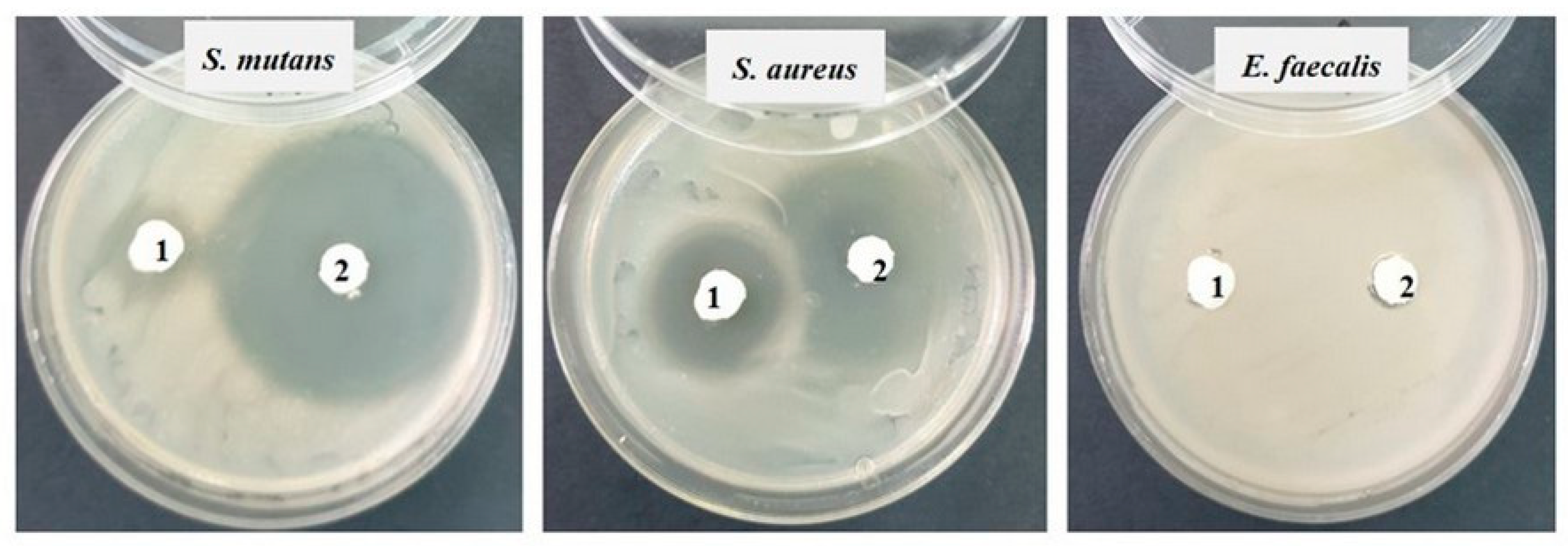 Materials 17 02711 g008