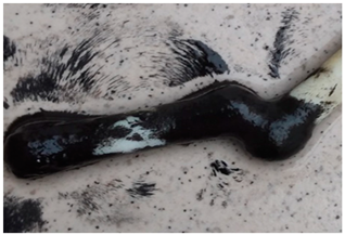 Materials 17 02725 i001