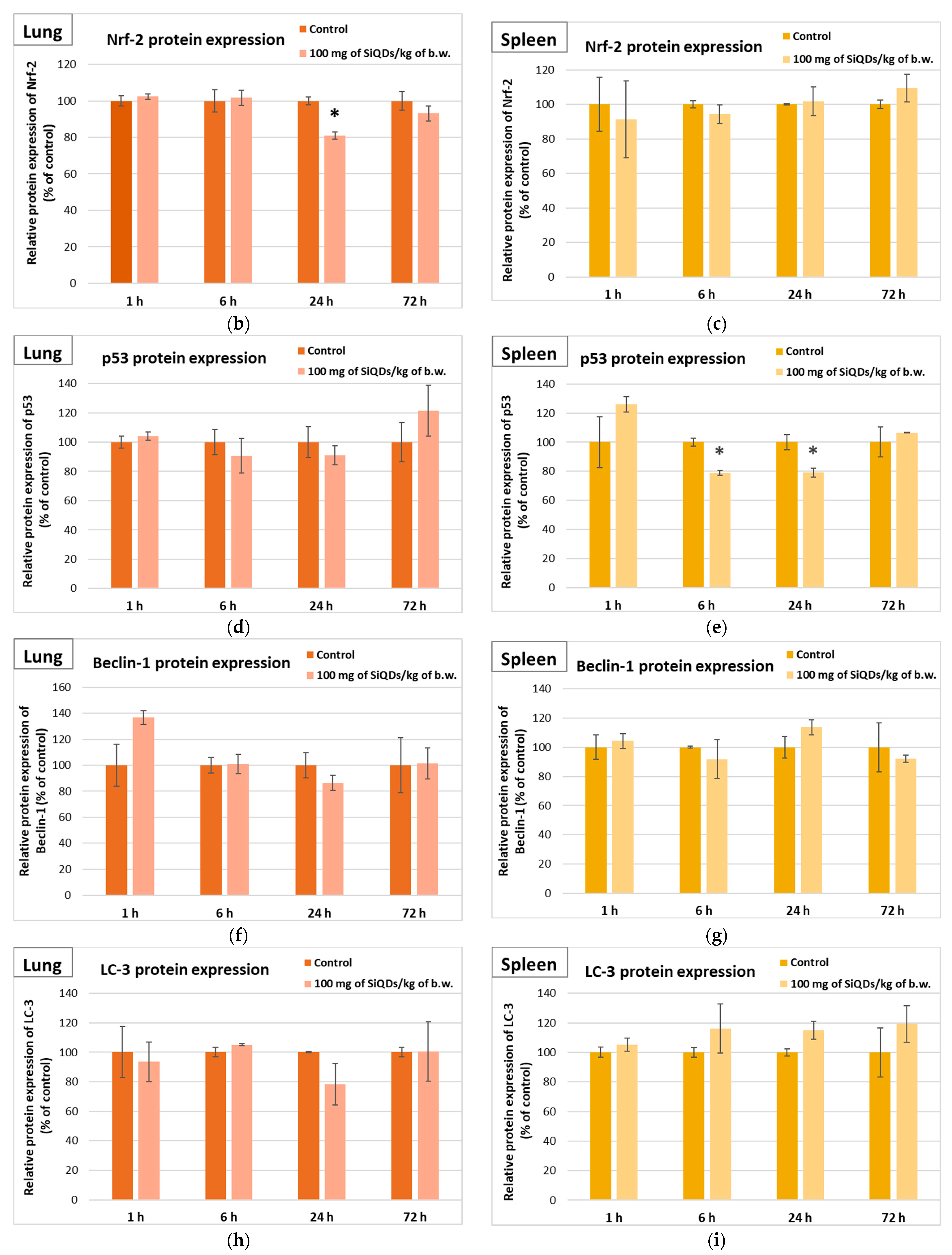 Materials 17 02778 g006b
