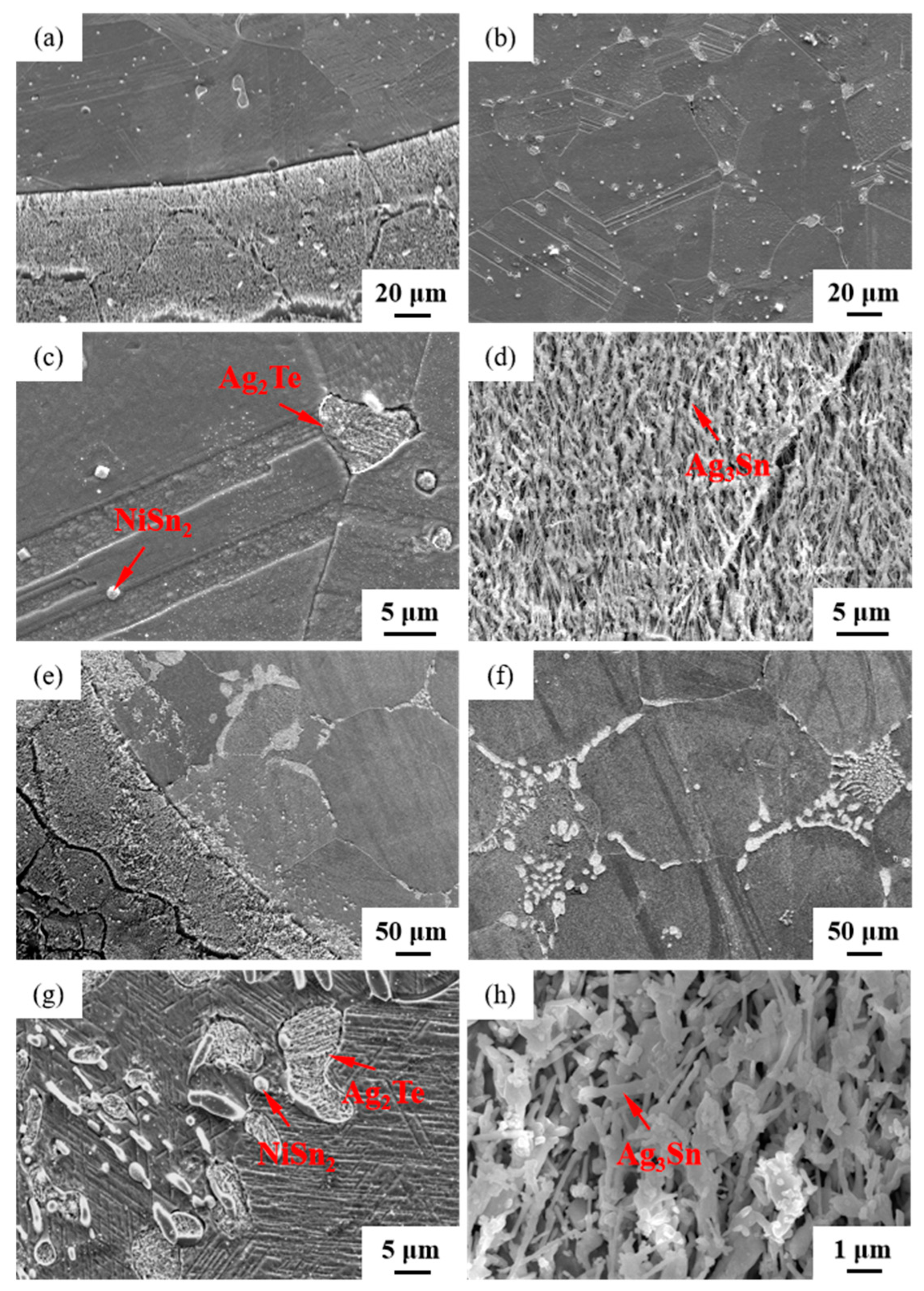 Materials 17 02785 g008