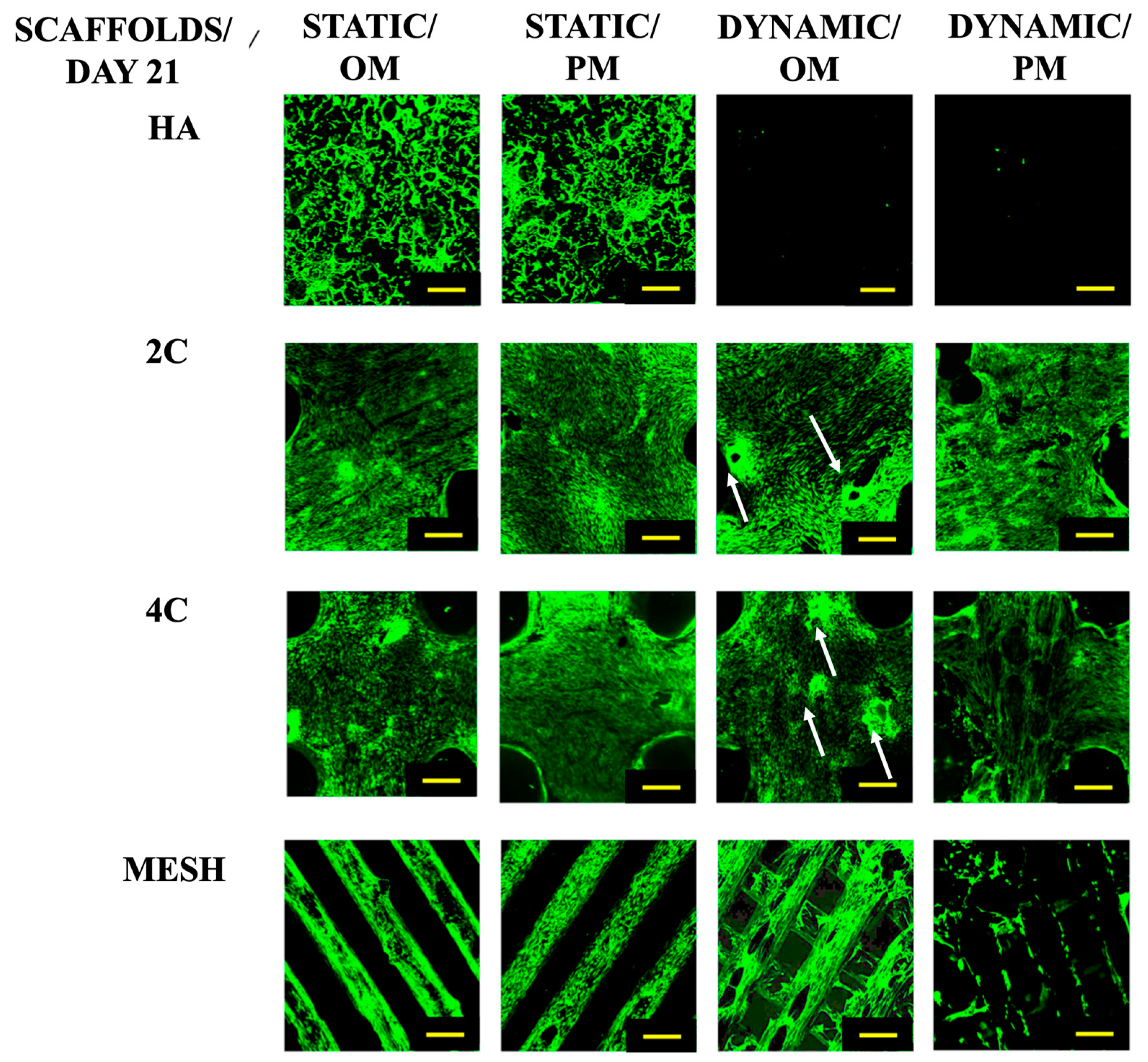 Materials 17 02811 g002