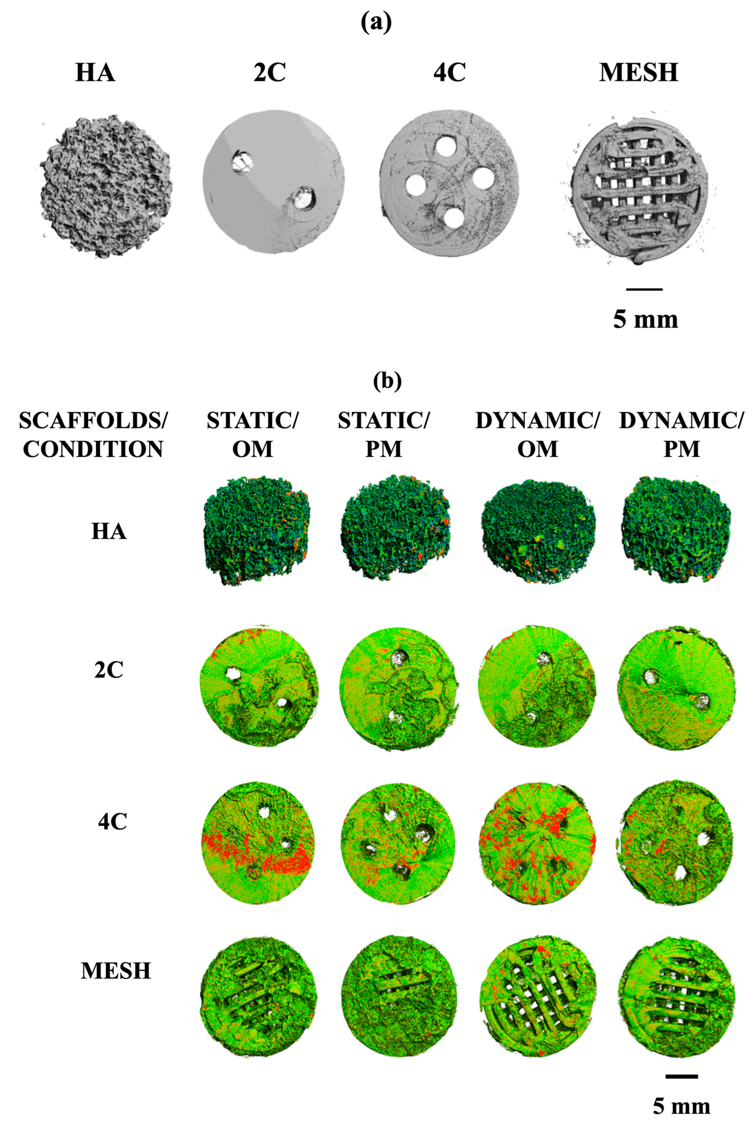Materials 17 02811 g006