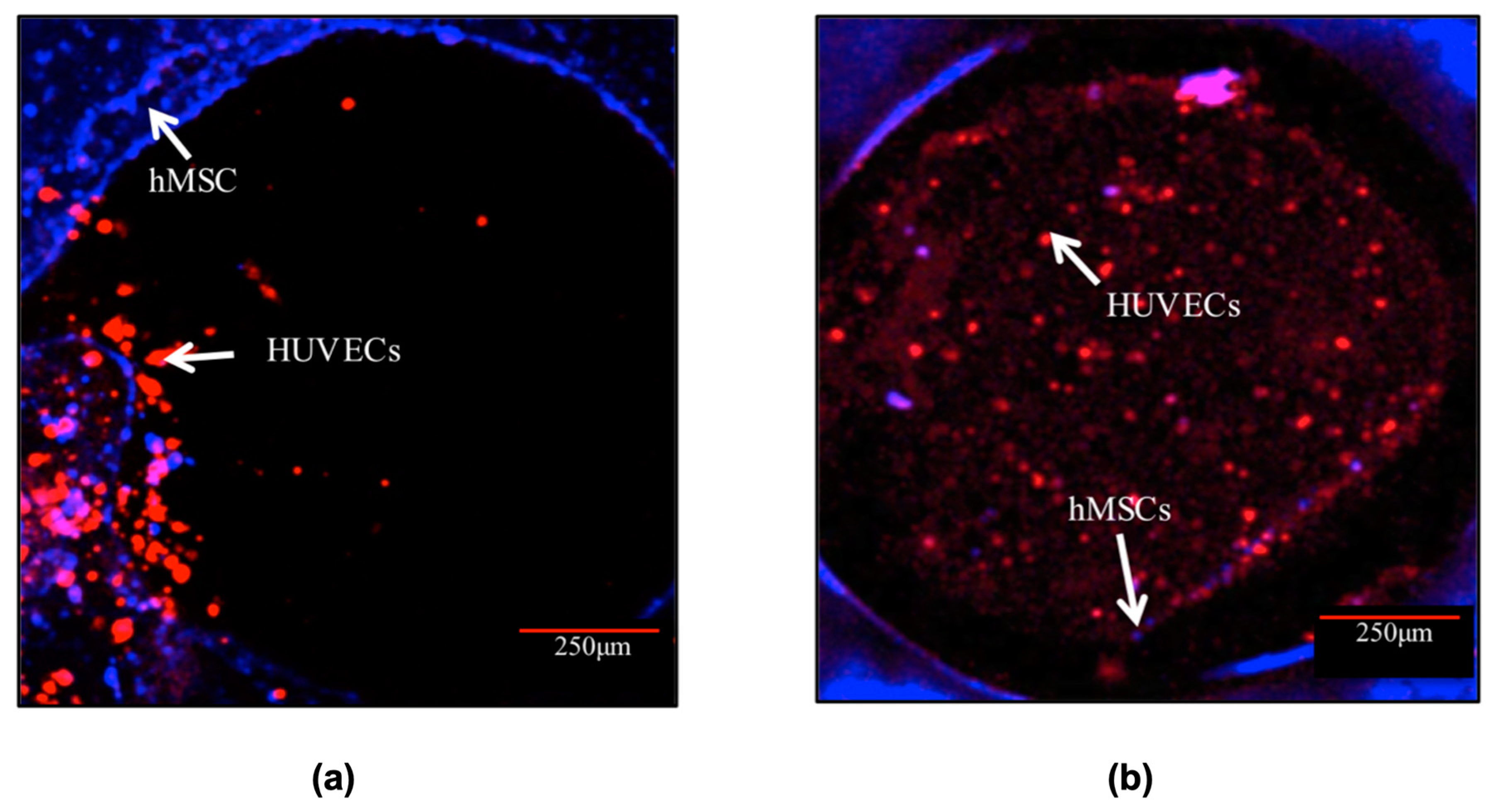 Materials 17 02811 g007