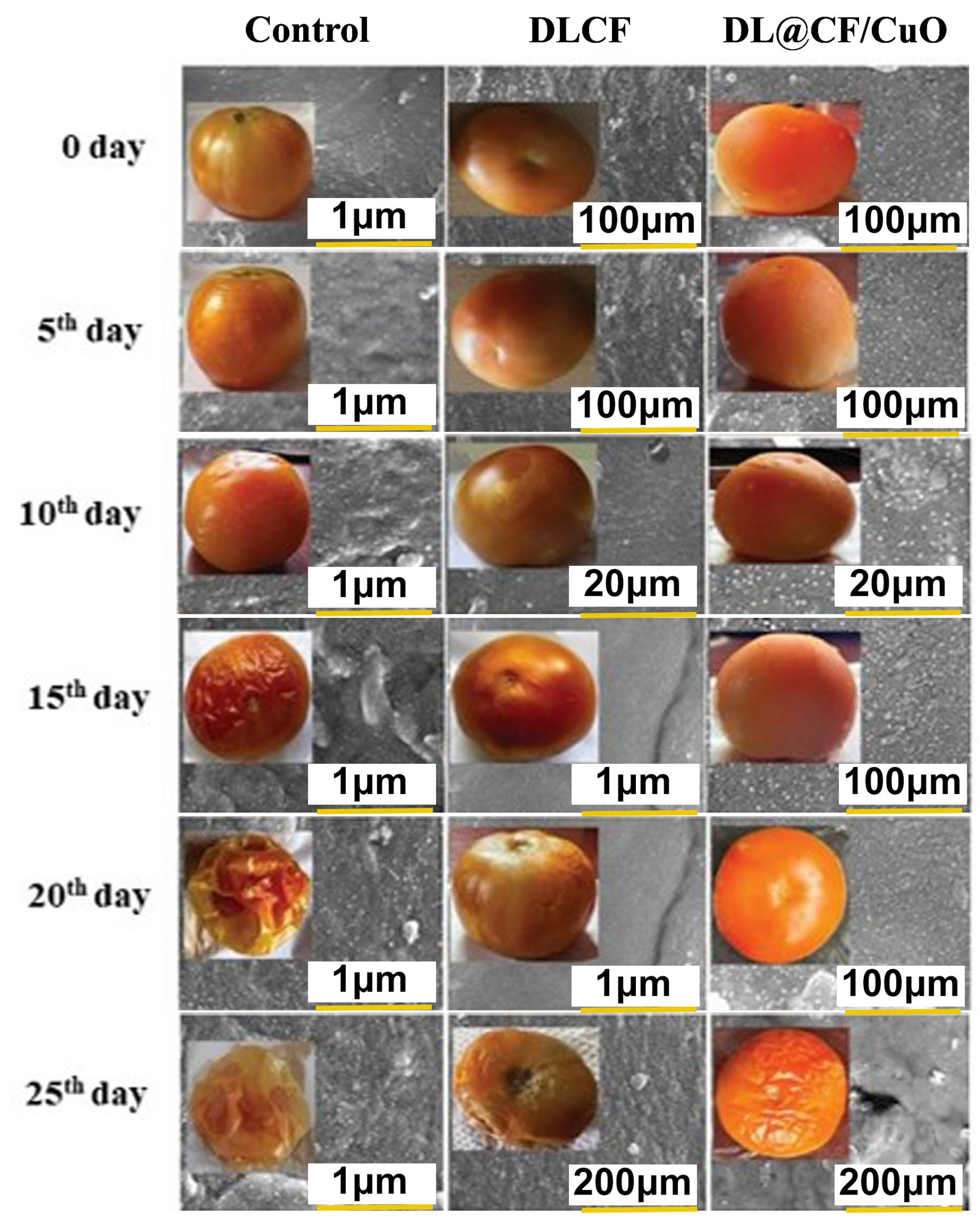 Materials 17 02823 g004