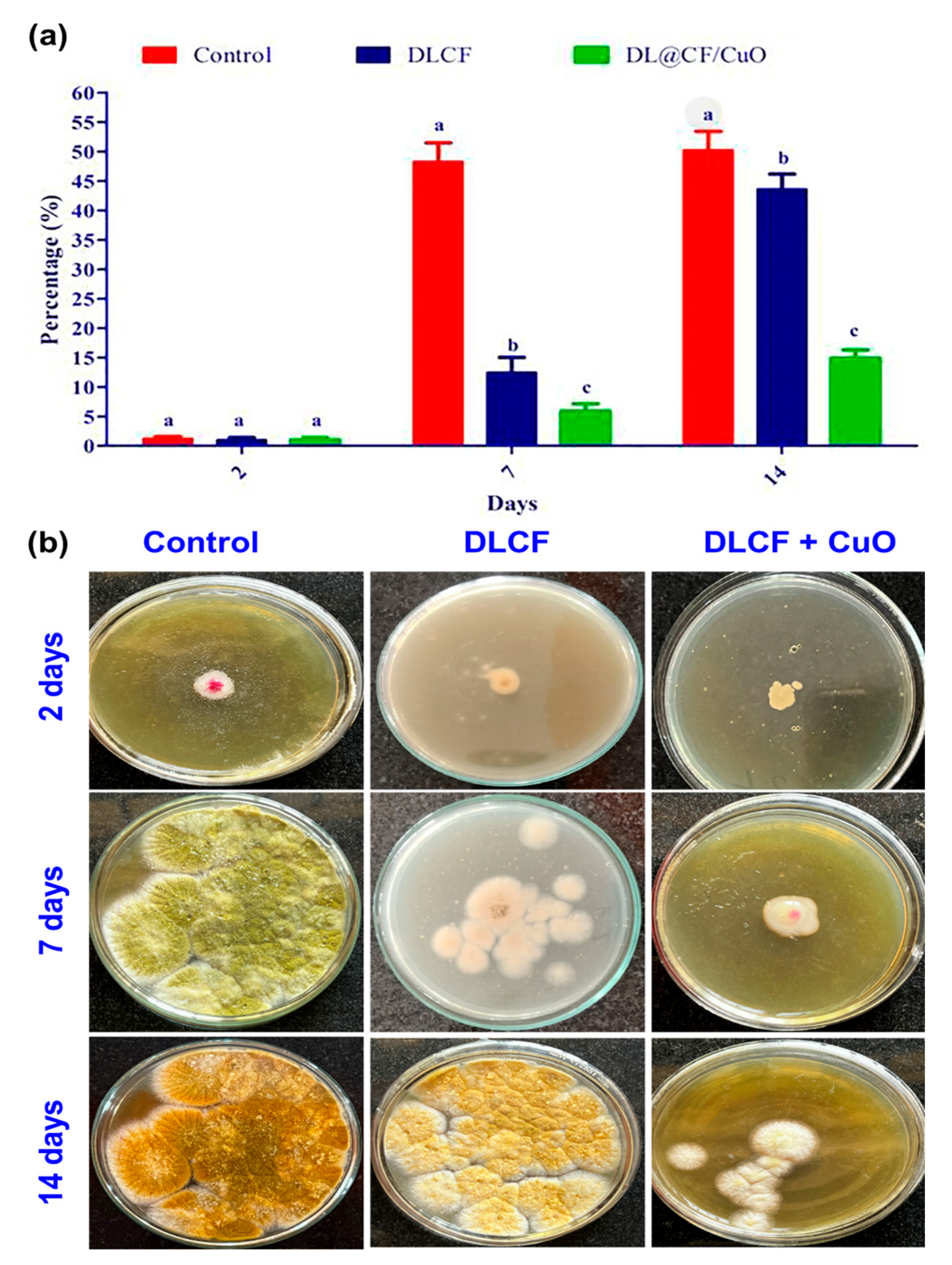 Materials 17 02823 g007