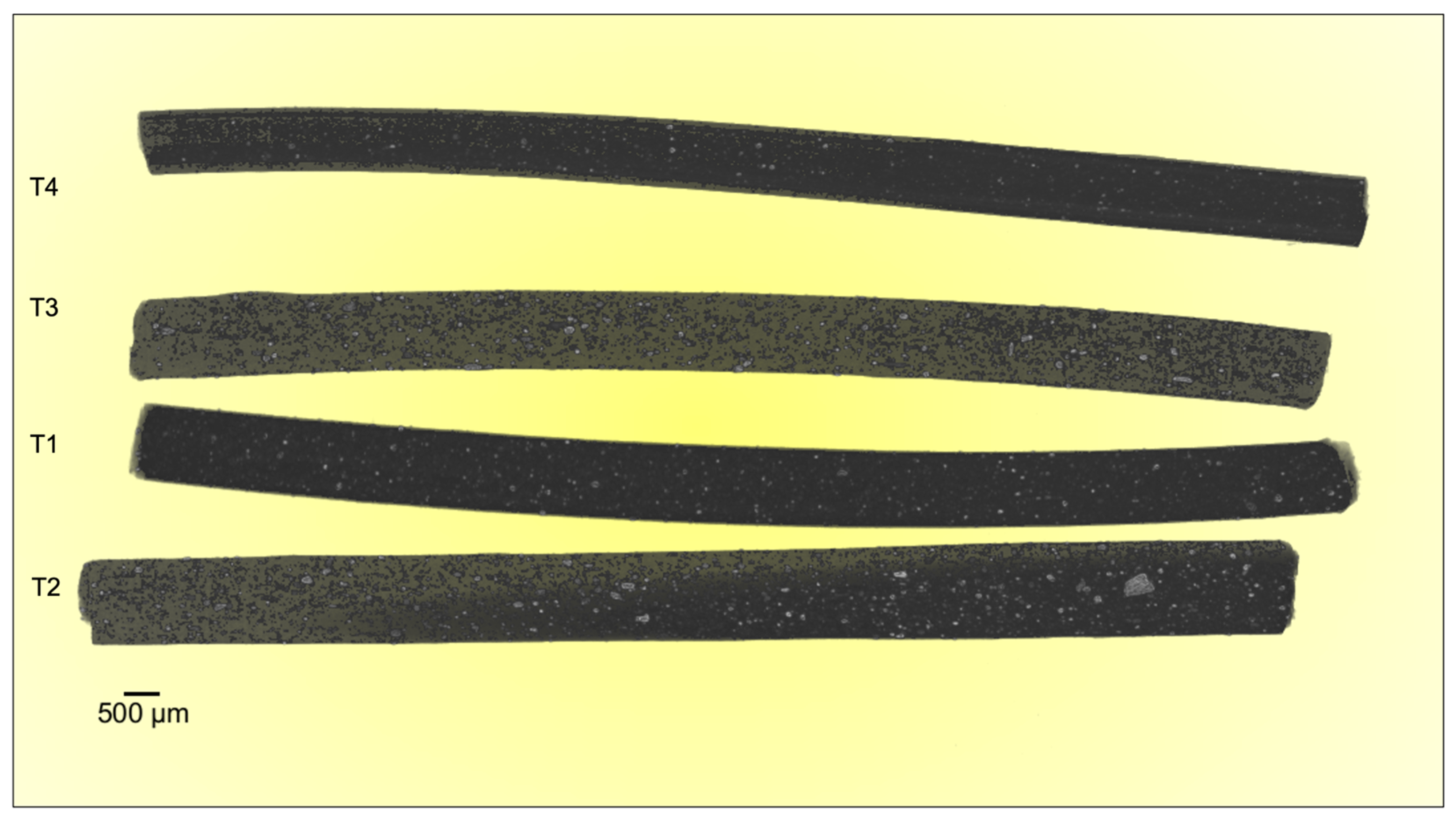 Materials 17 02892 g006