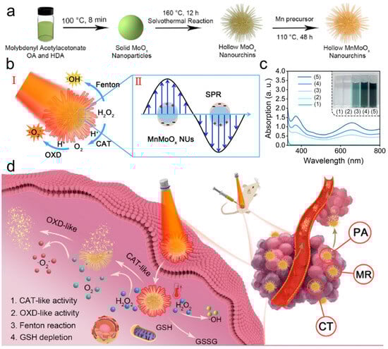 Materials 17 02896 g010