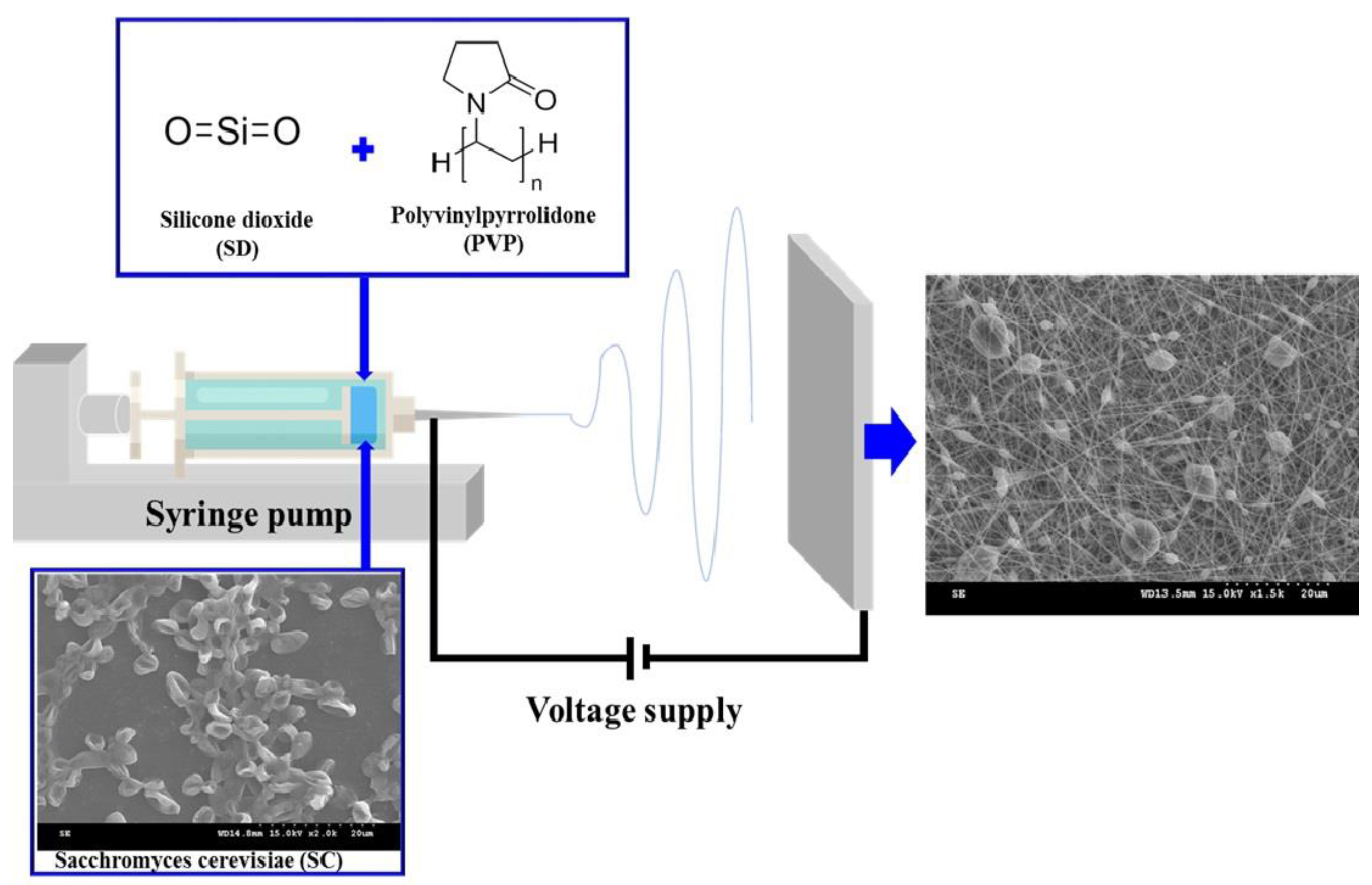 Materials 17 02903 g001