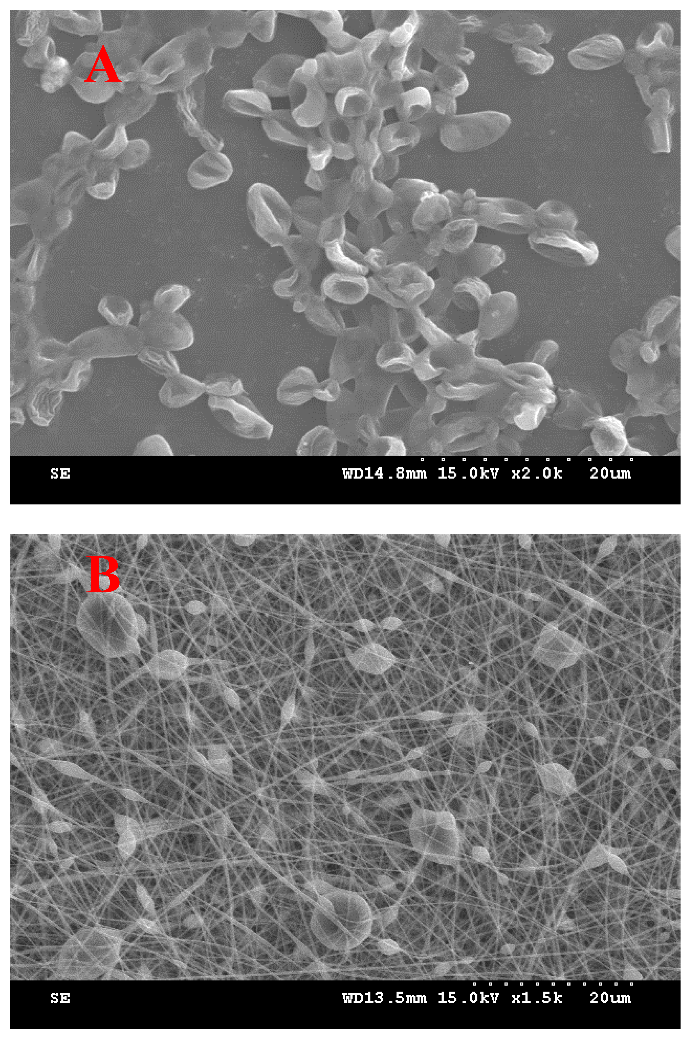 Materials 17 02903 g004