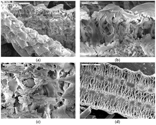 Materials 17 02923 g0a4