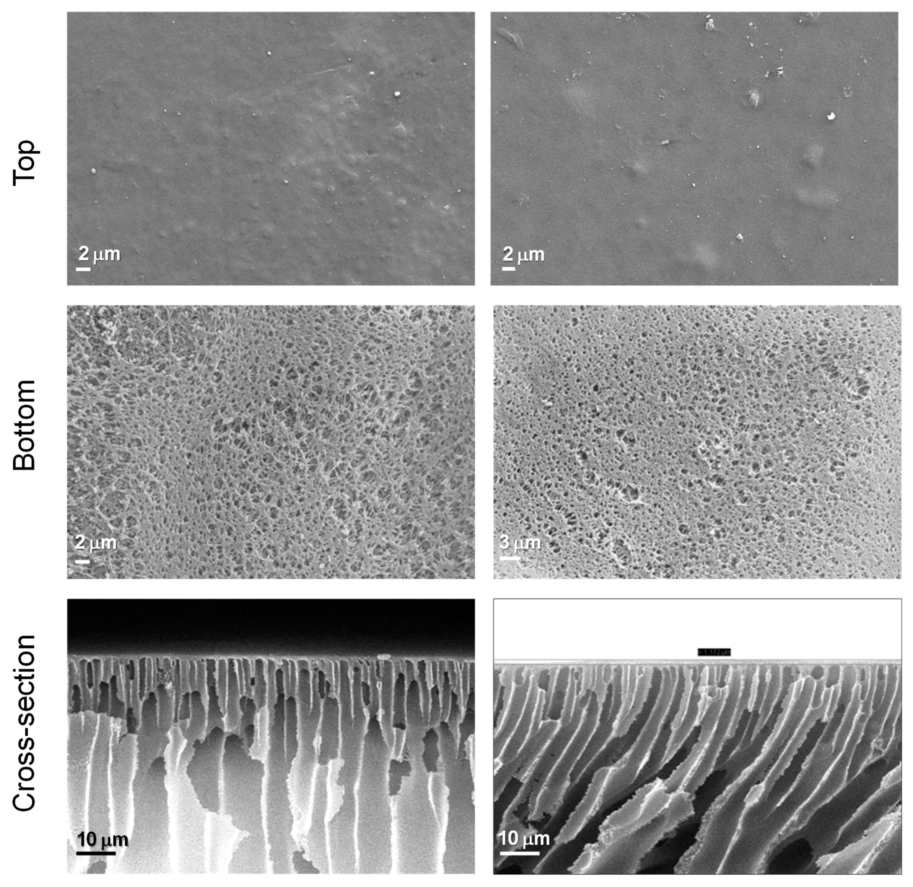 Materials 17 02941 g010