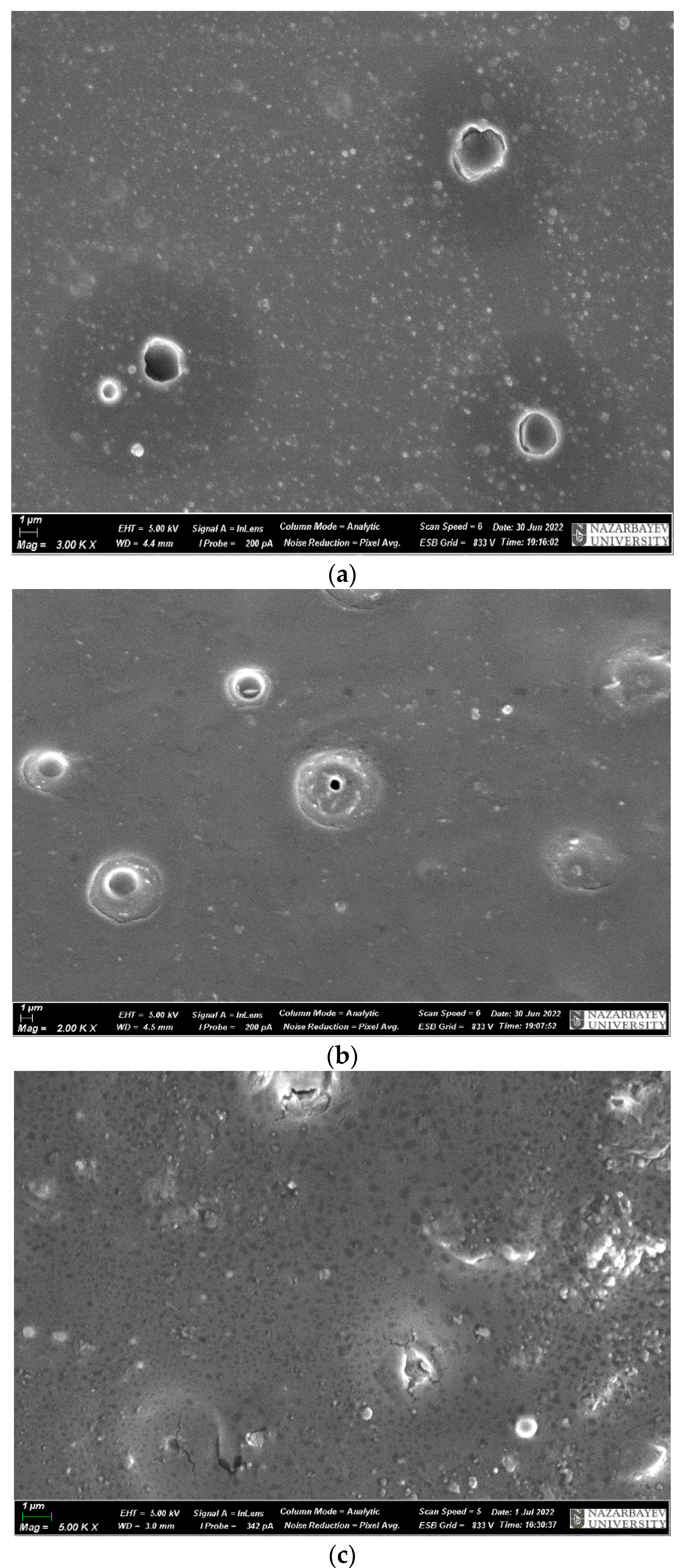 Materials 17 02959 g012 Materials 17 02959 g012
