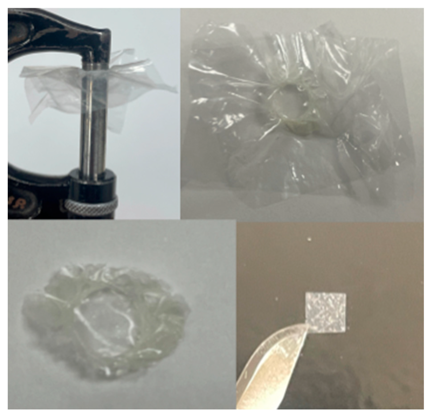 Materials 17 02961 g002 Materials 17 02961 g002