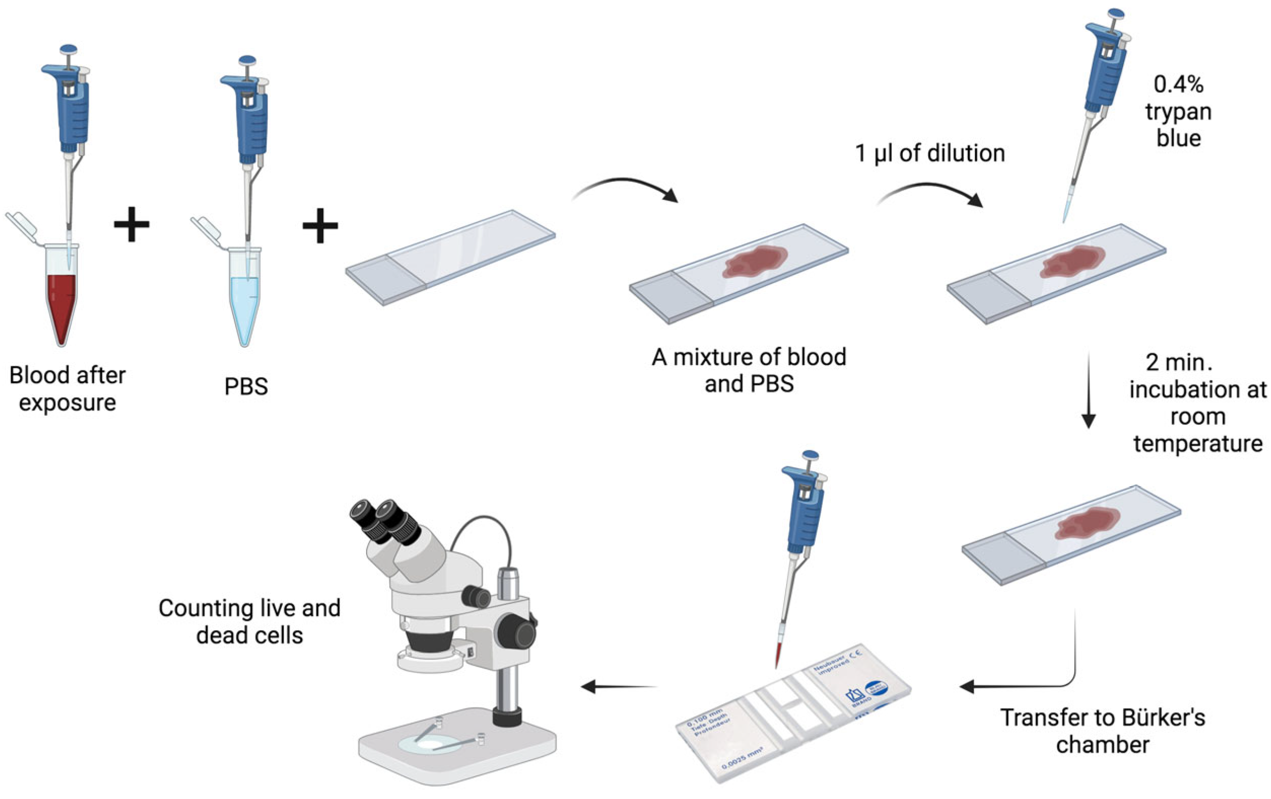 Materials 17 02967 g005