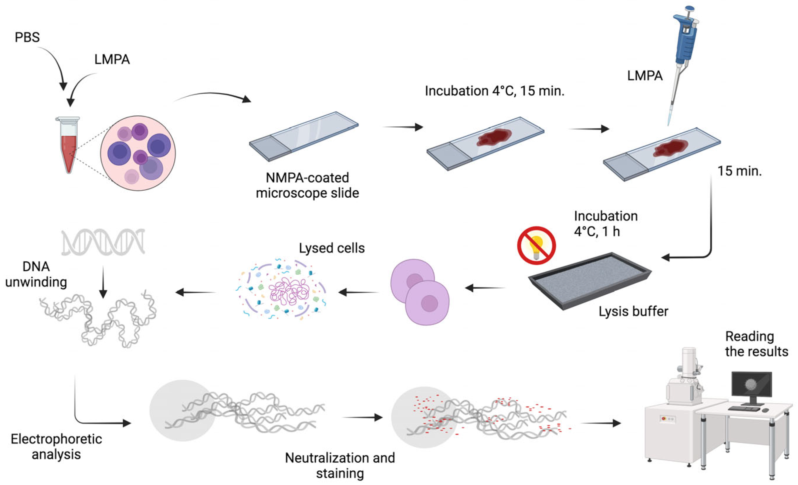 Materials 17 02967 g006