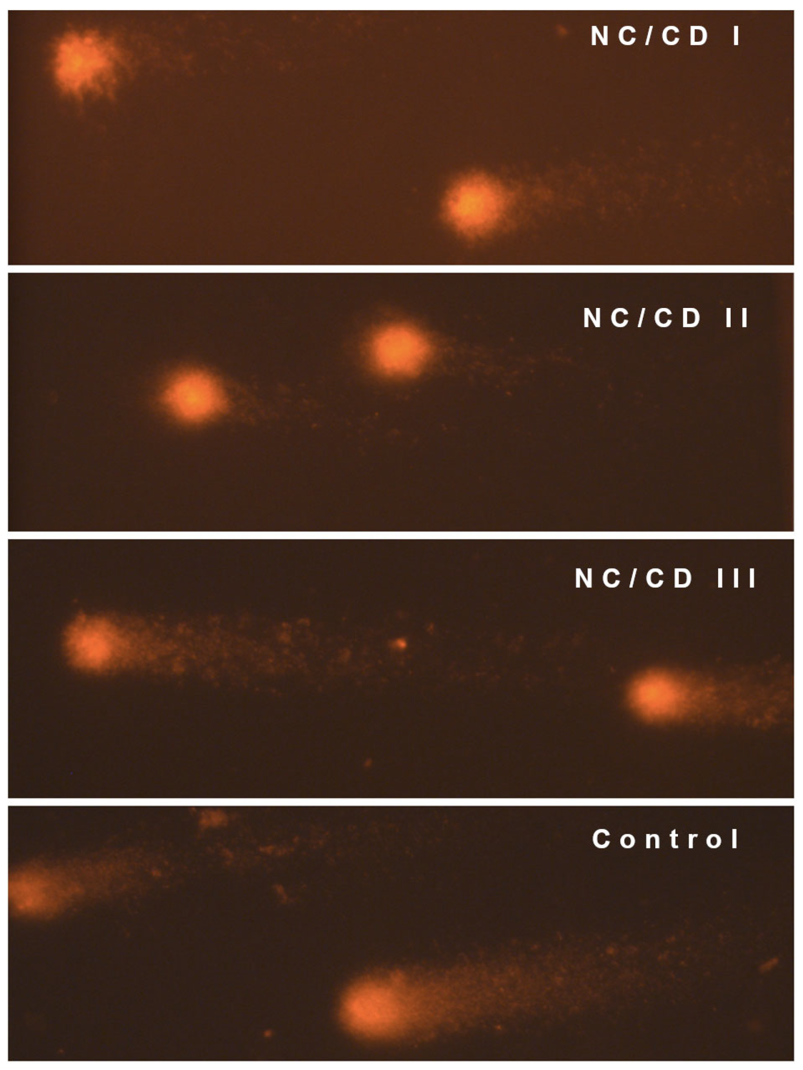 Materials 17 02967 g007