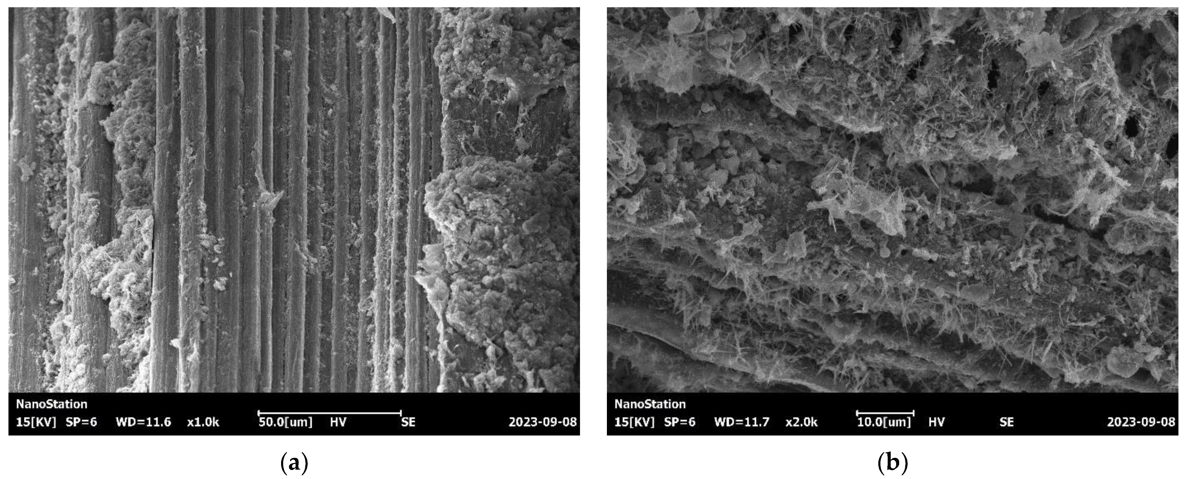 Materials 17 02972 g007