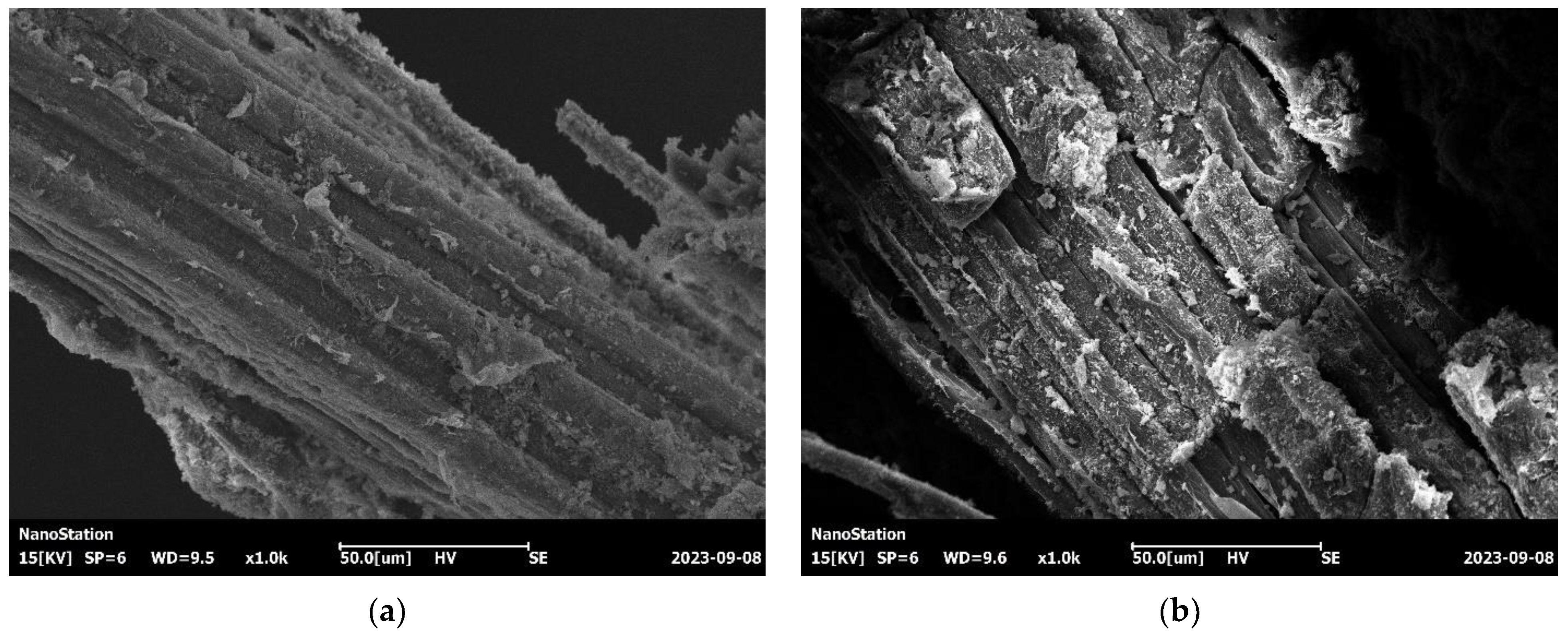 Materials 17 02972 g008