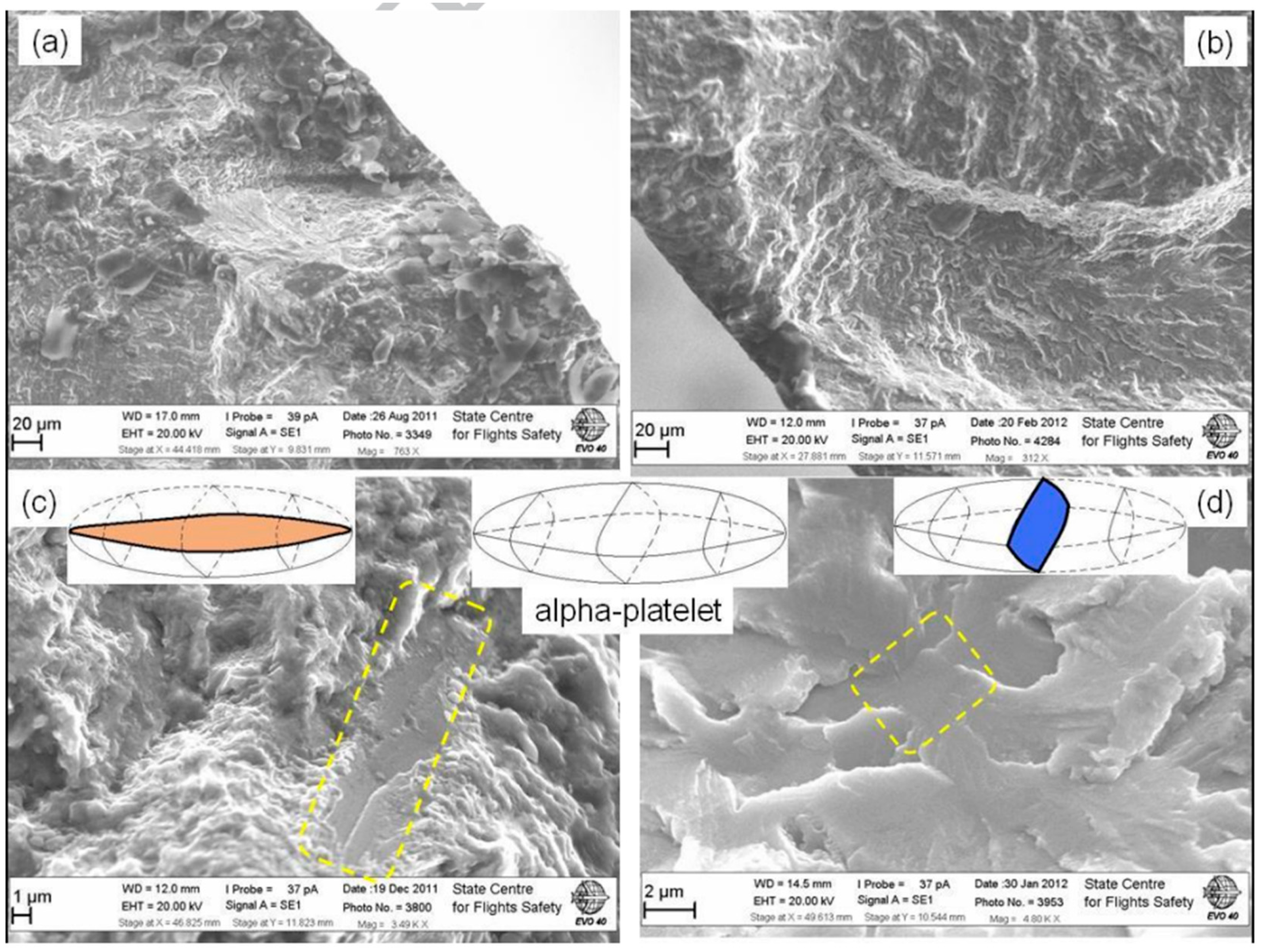Materials 17 02987 g042 Materials 17 02987 g042