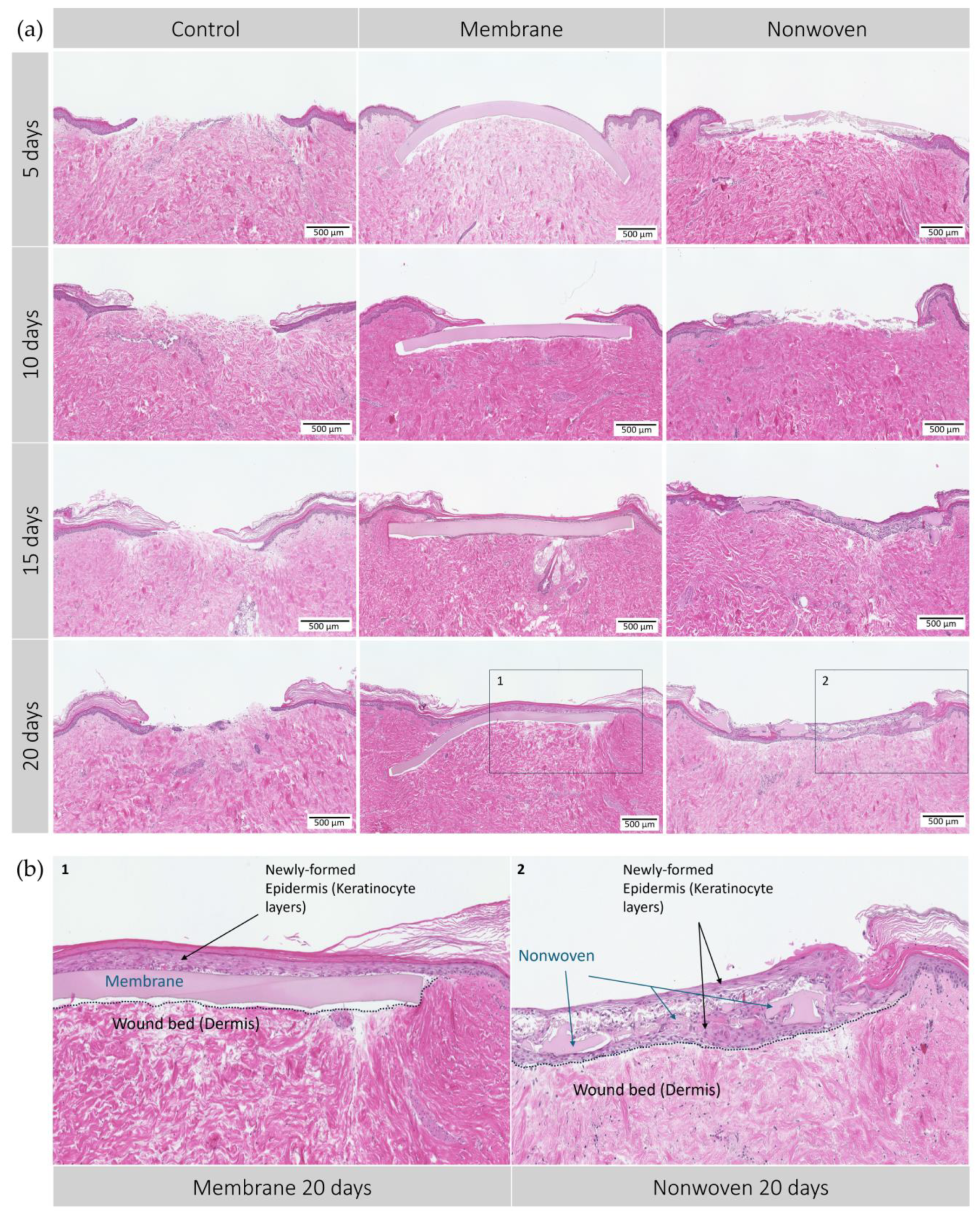 Materials 17 03004 g005