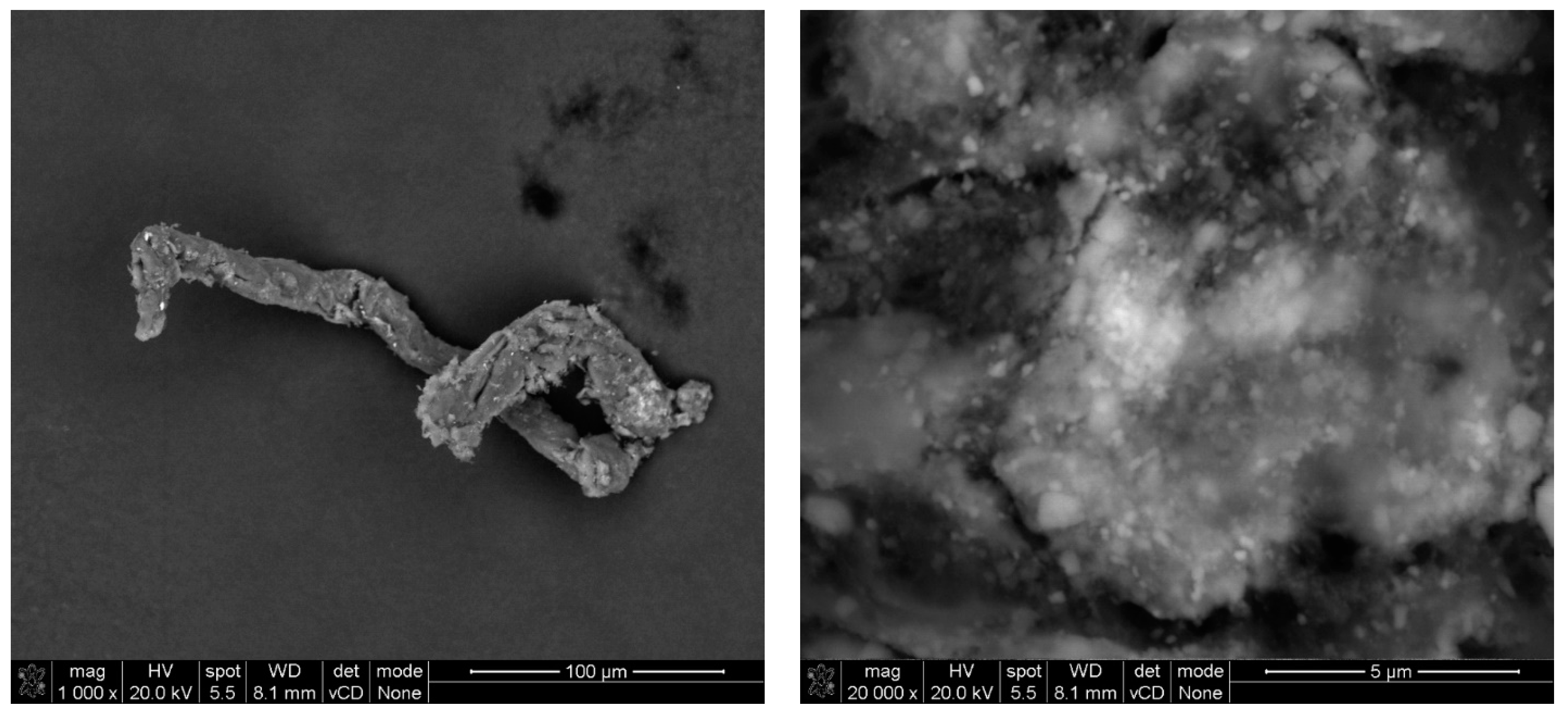 Materials 17 03022 g010 Materials 17 03022 g010