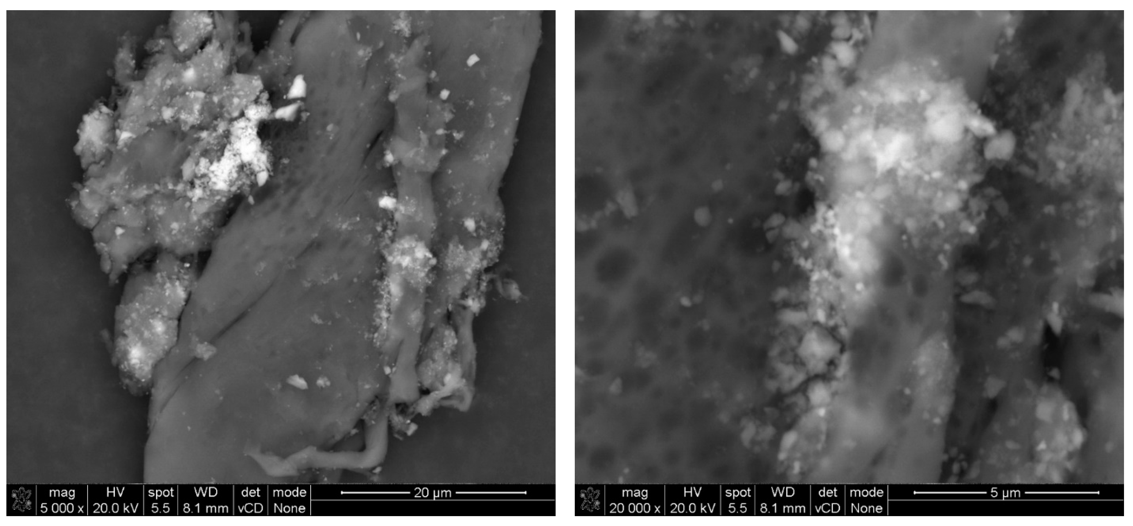Materials 17 03022 g012 Materials 17 03022 g012