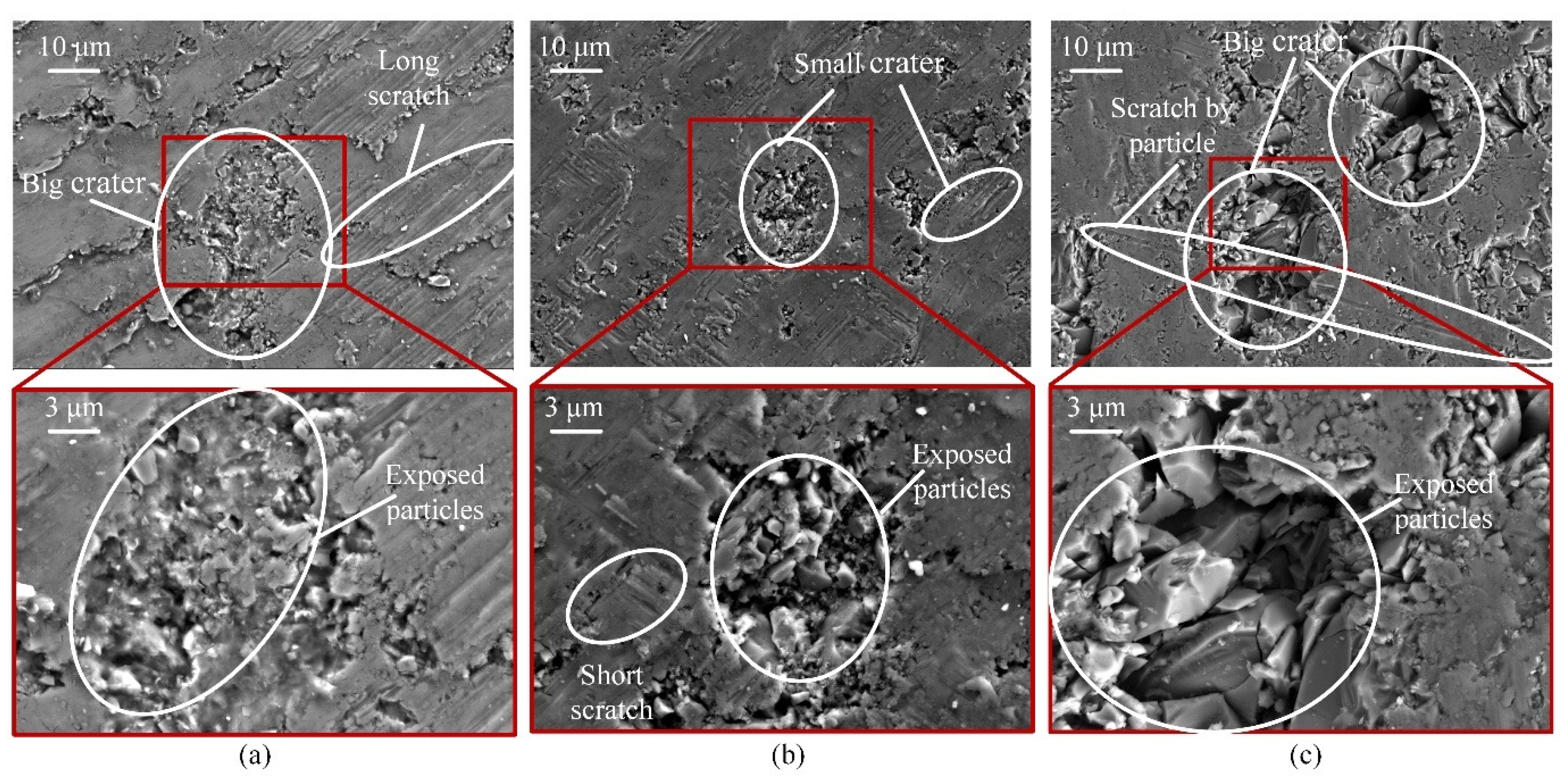 Materials 17 03024 g007