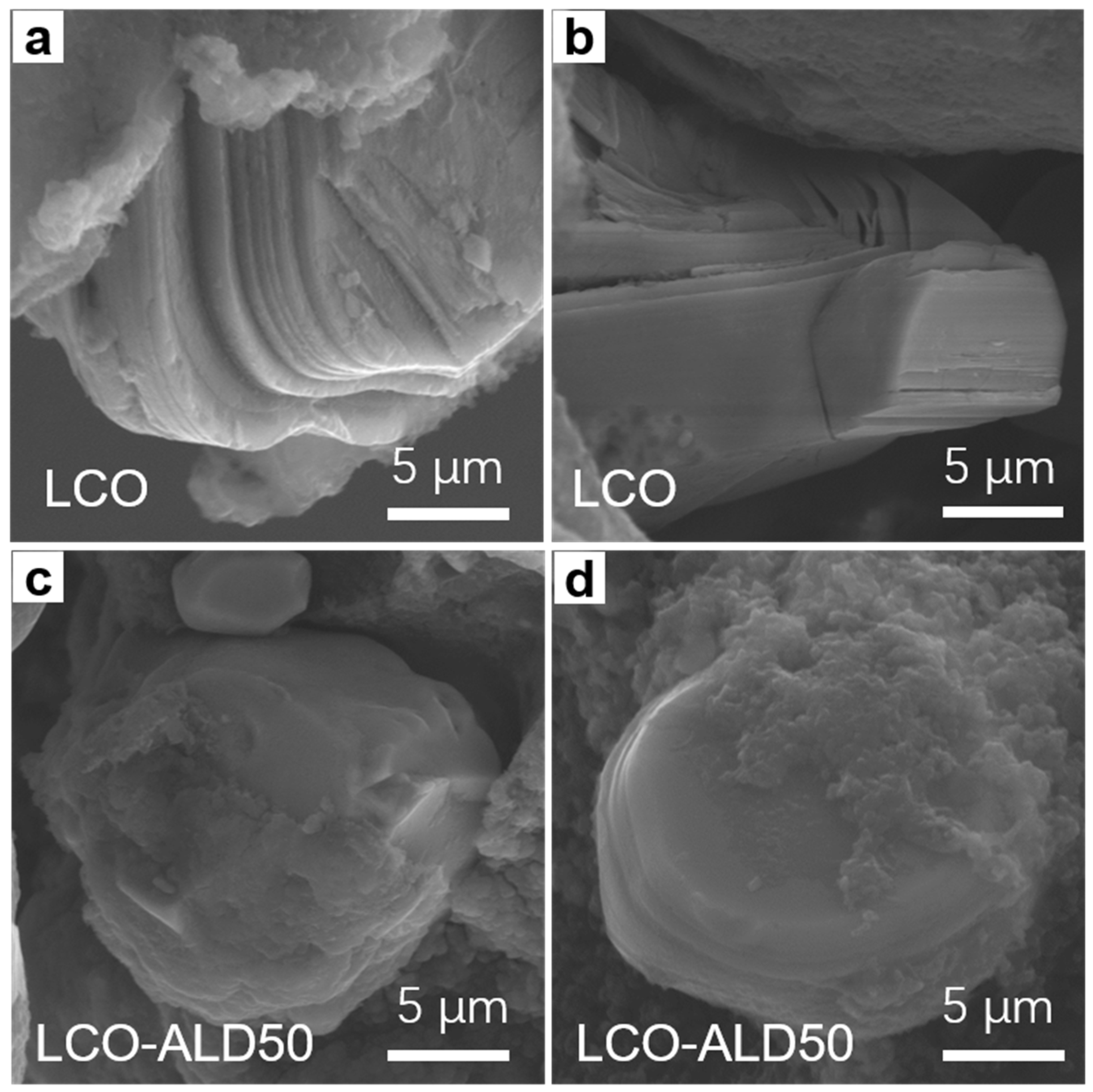 Materials 17 03036 g005