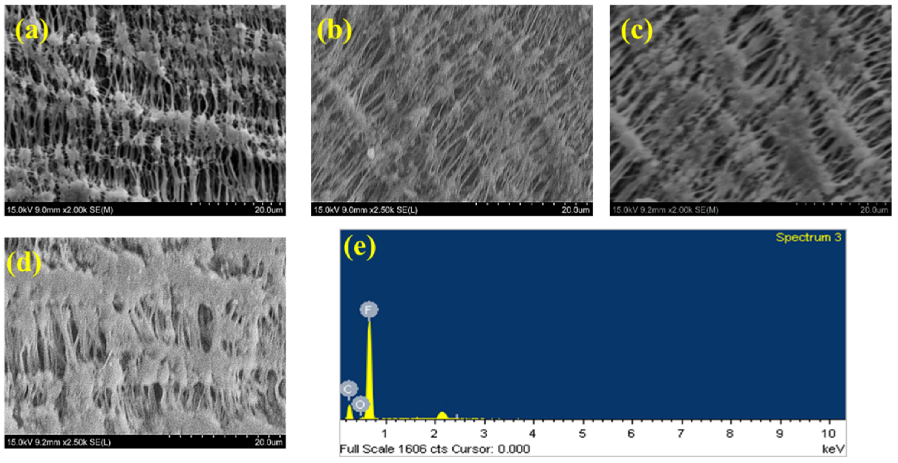 Materials 17 03051 g007