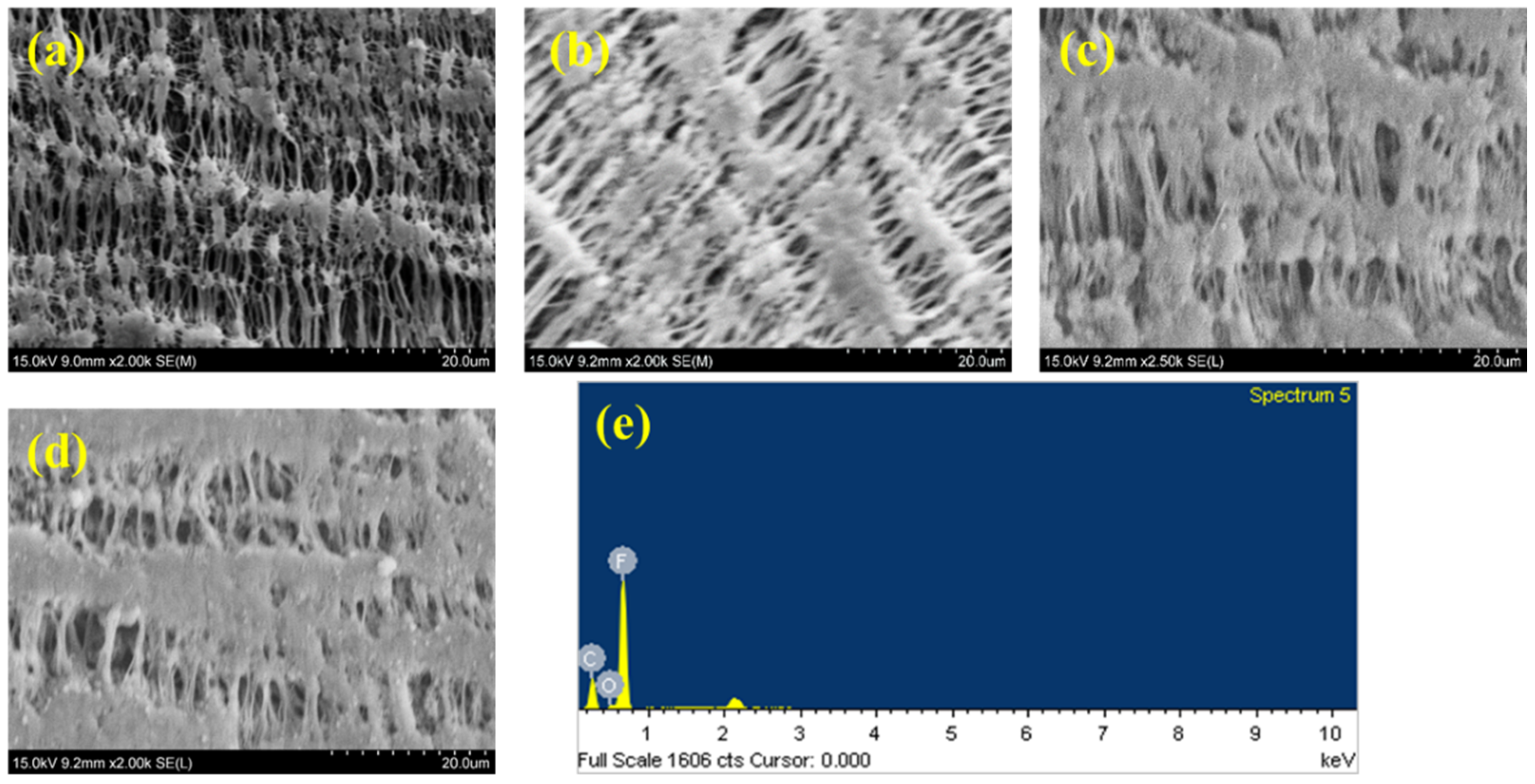 Materials 17 03051 g008