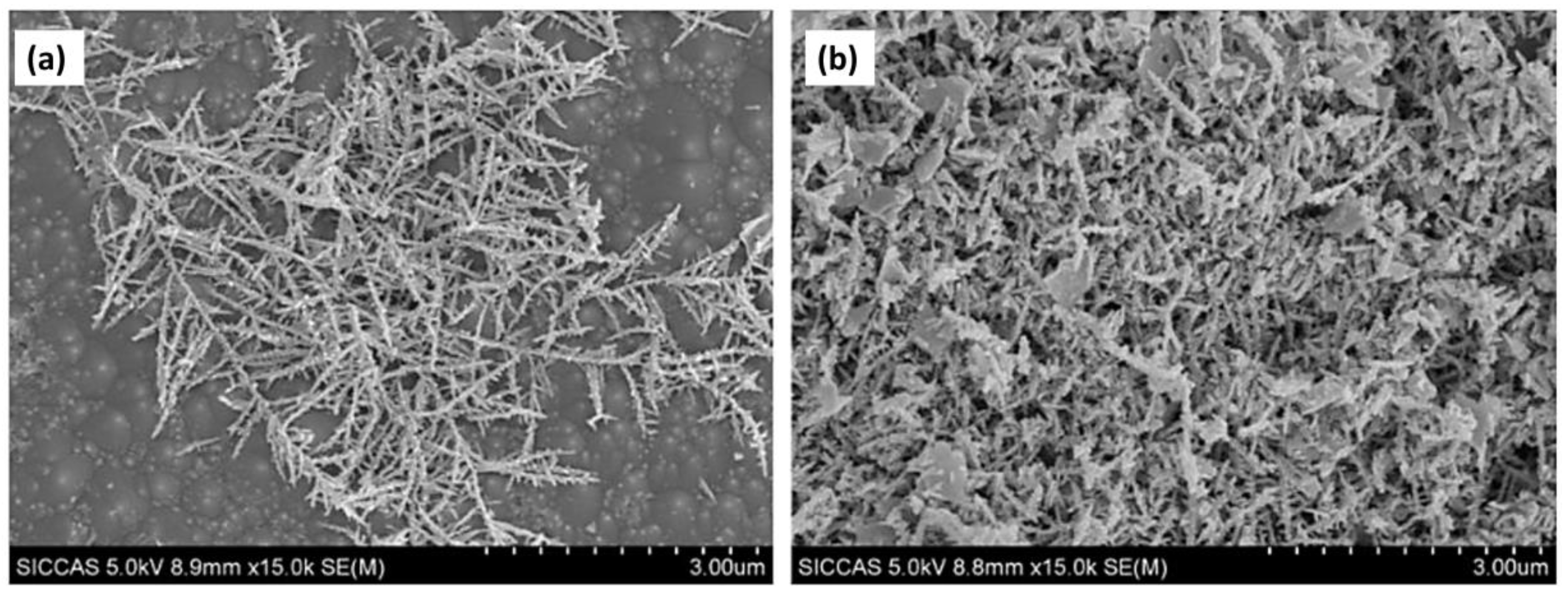 Materials 17 03077 g007