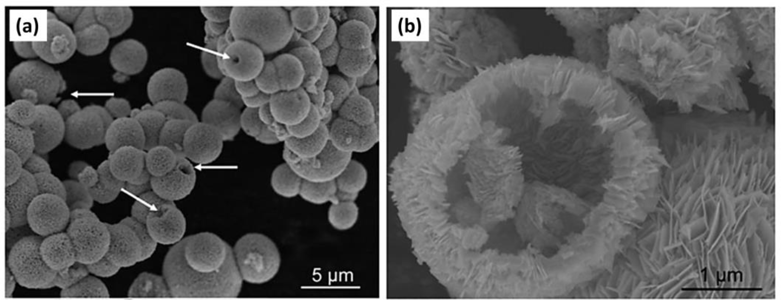 Materials 17 03077 g009