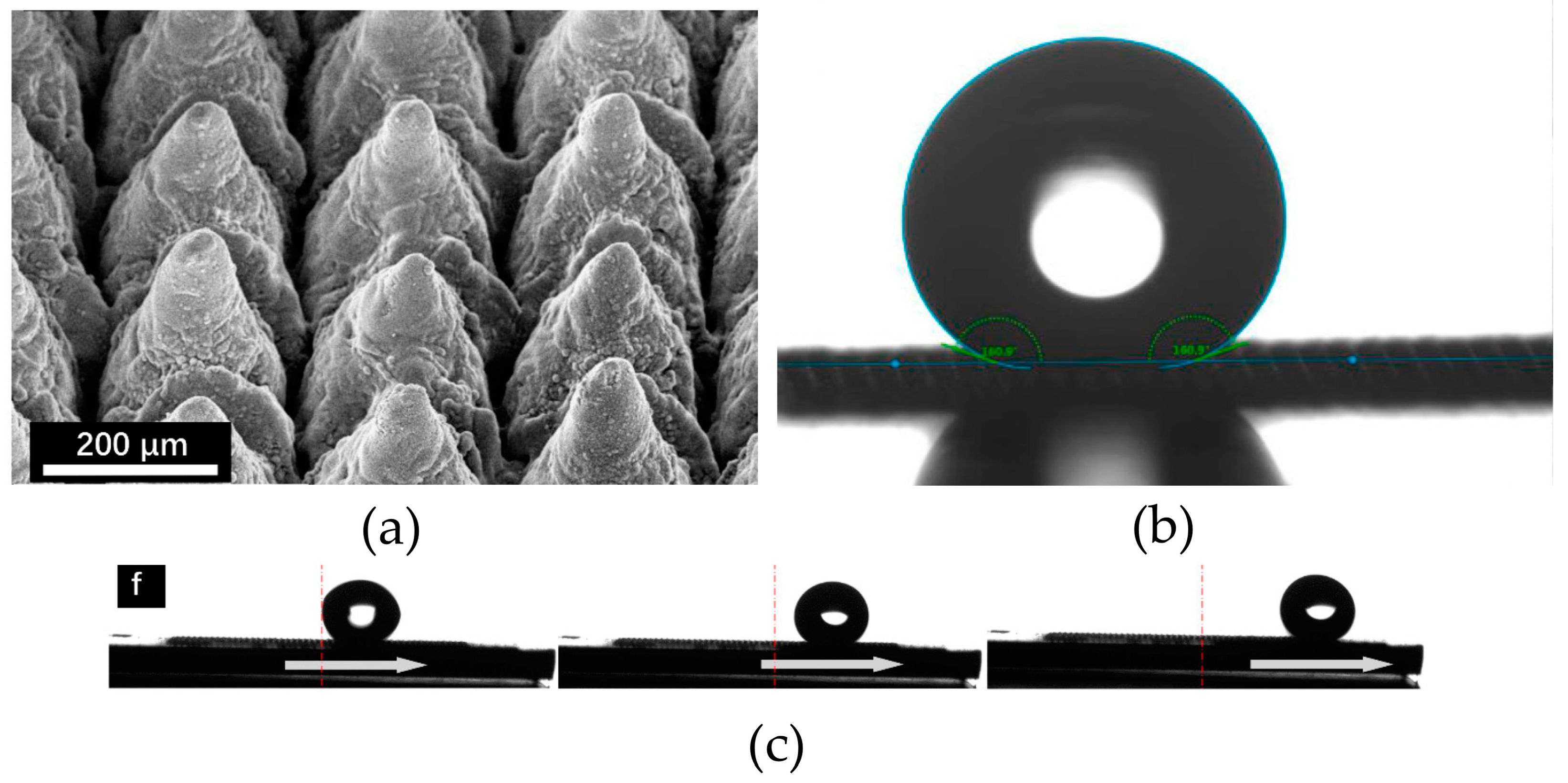 Materials 17 03089 g004