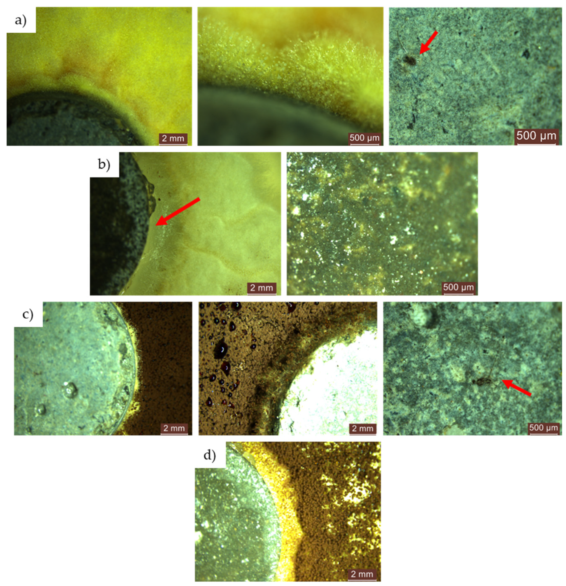 Materials 17 03098 g011