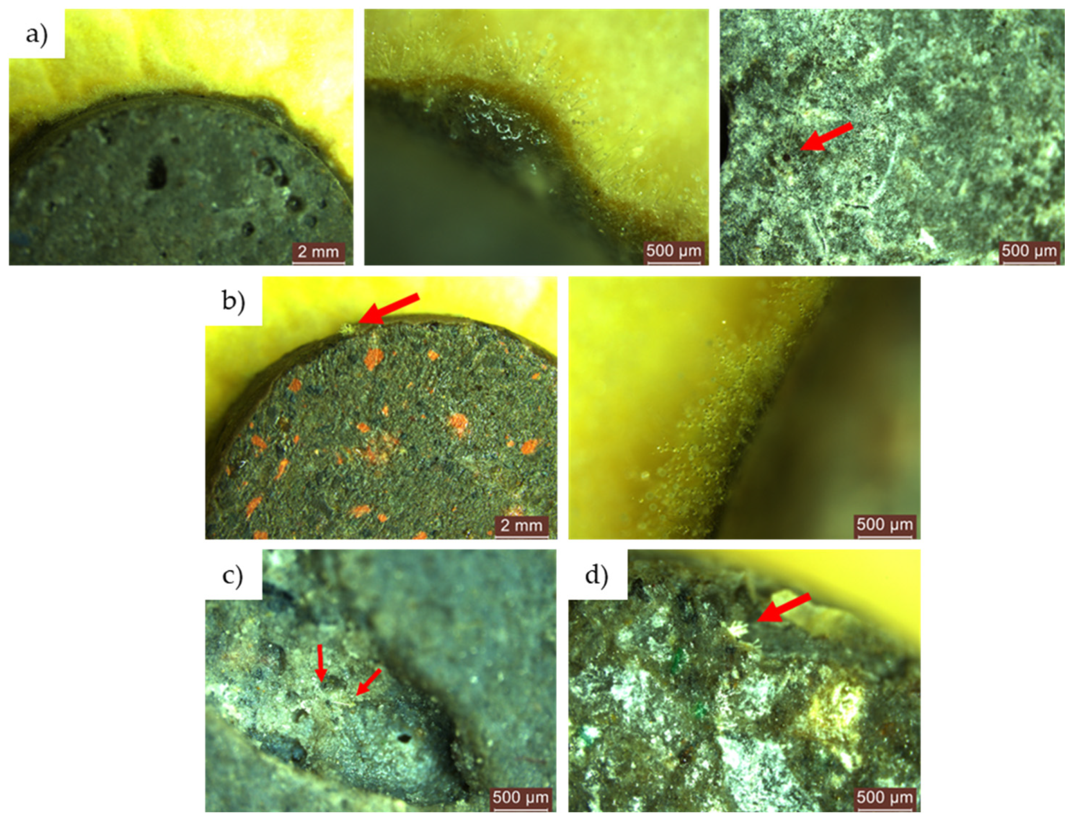 Materials 17 03098 g012