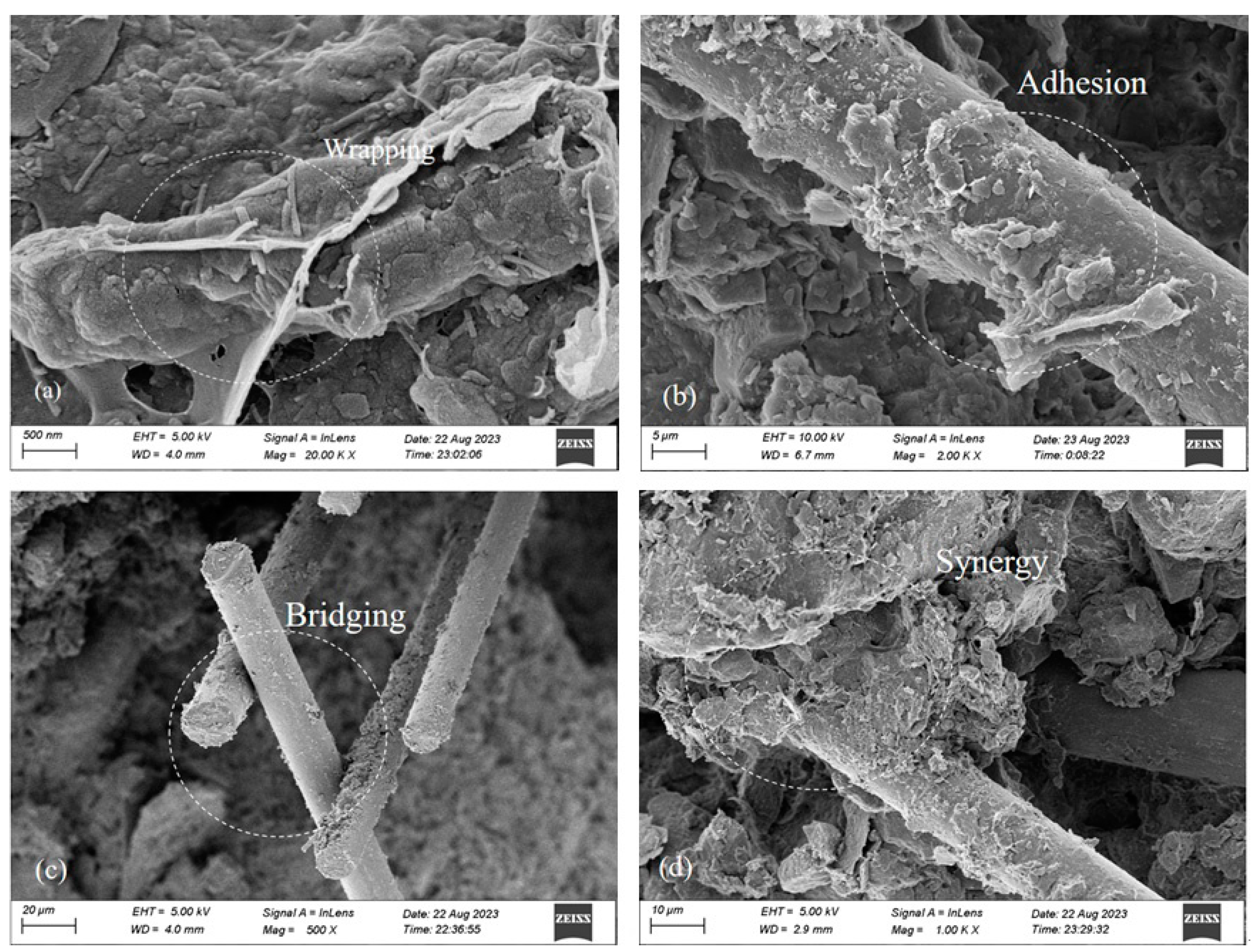 Materials 17 03116 g008