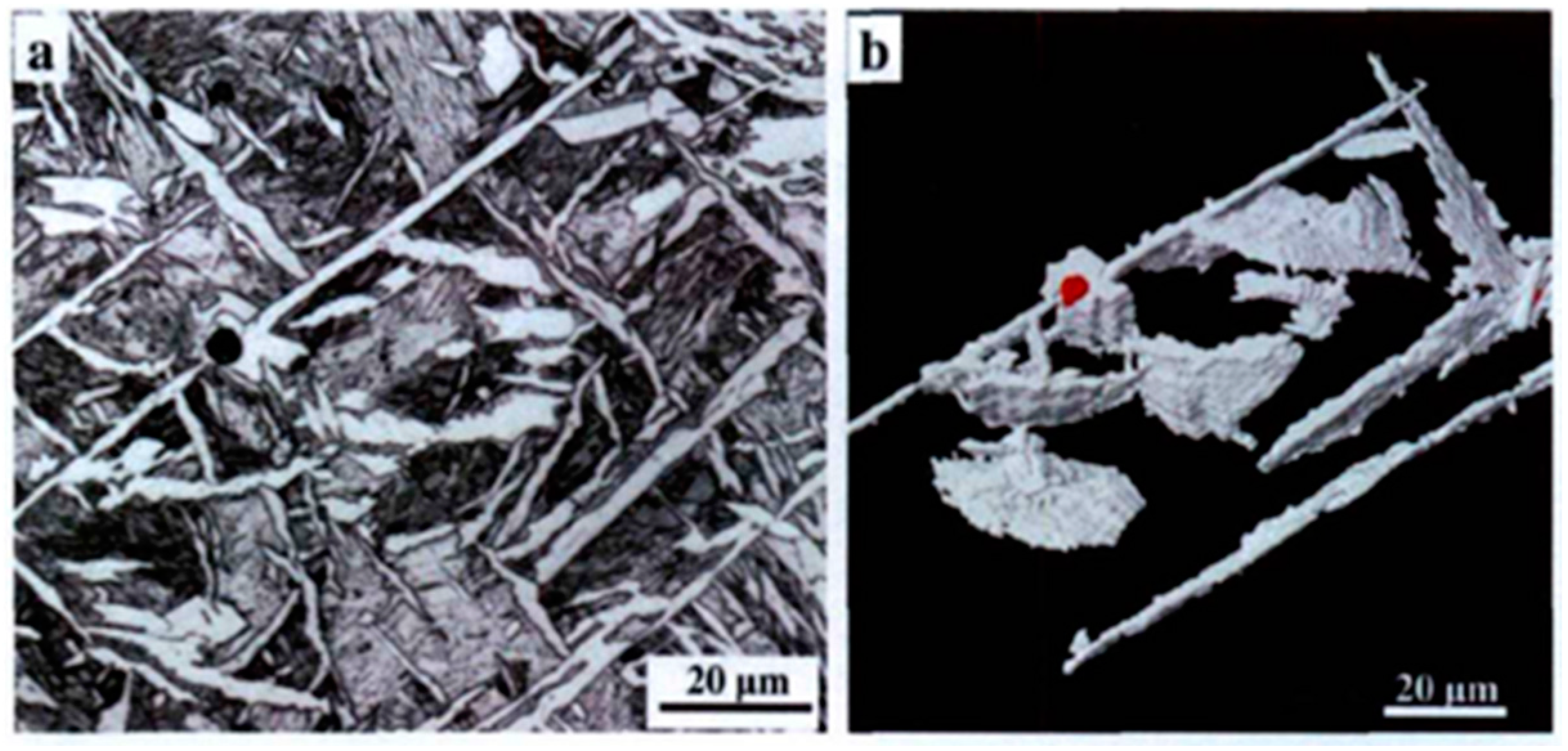 Materials 17 03117 g005