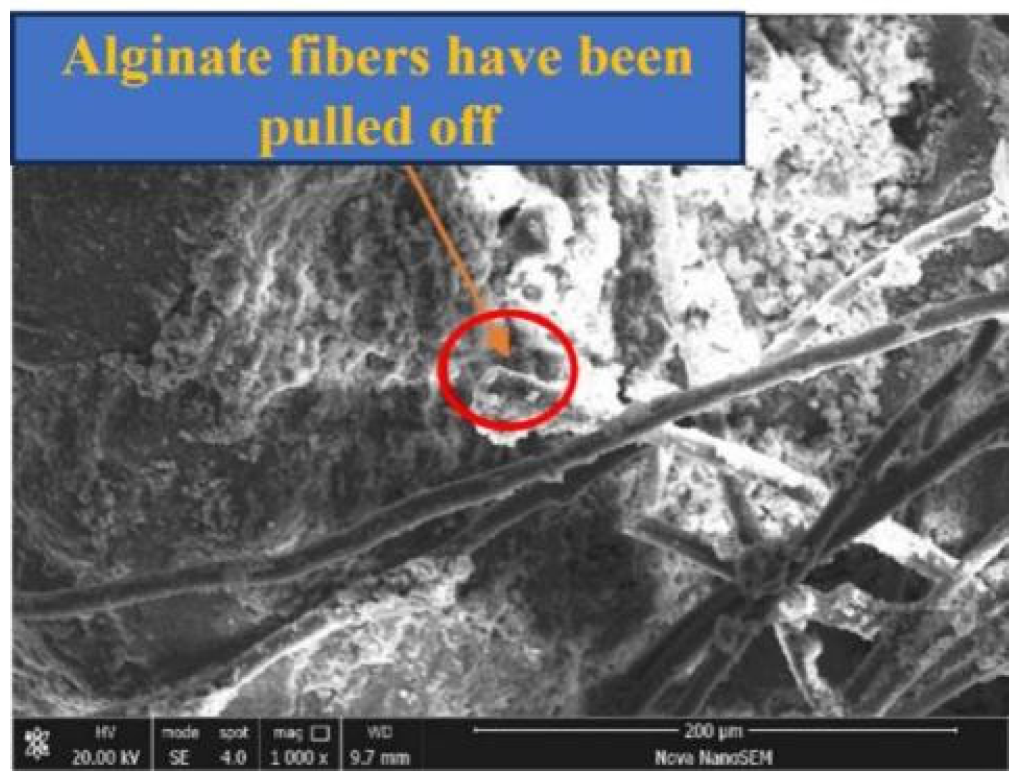 Materials 17 03124 g015