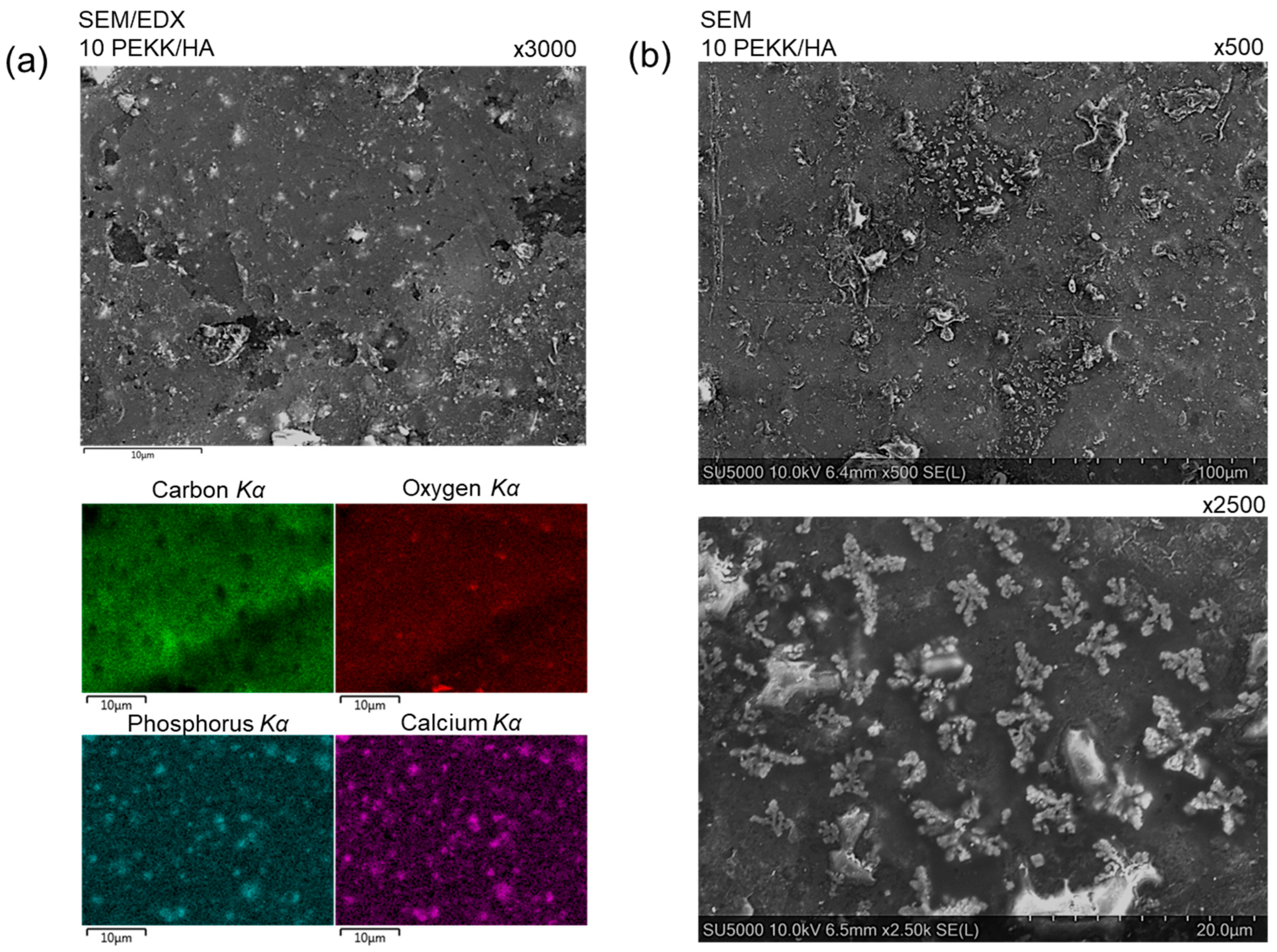Materials 17 03161 g004