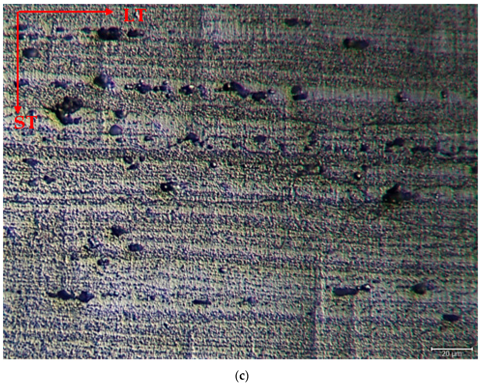 Materials 17 03164 g002b