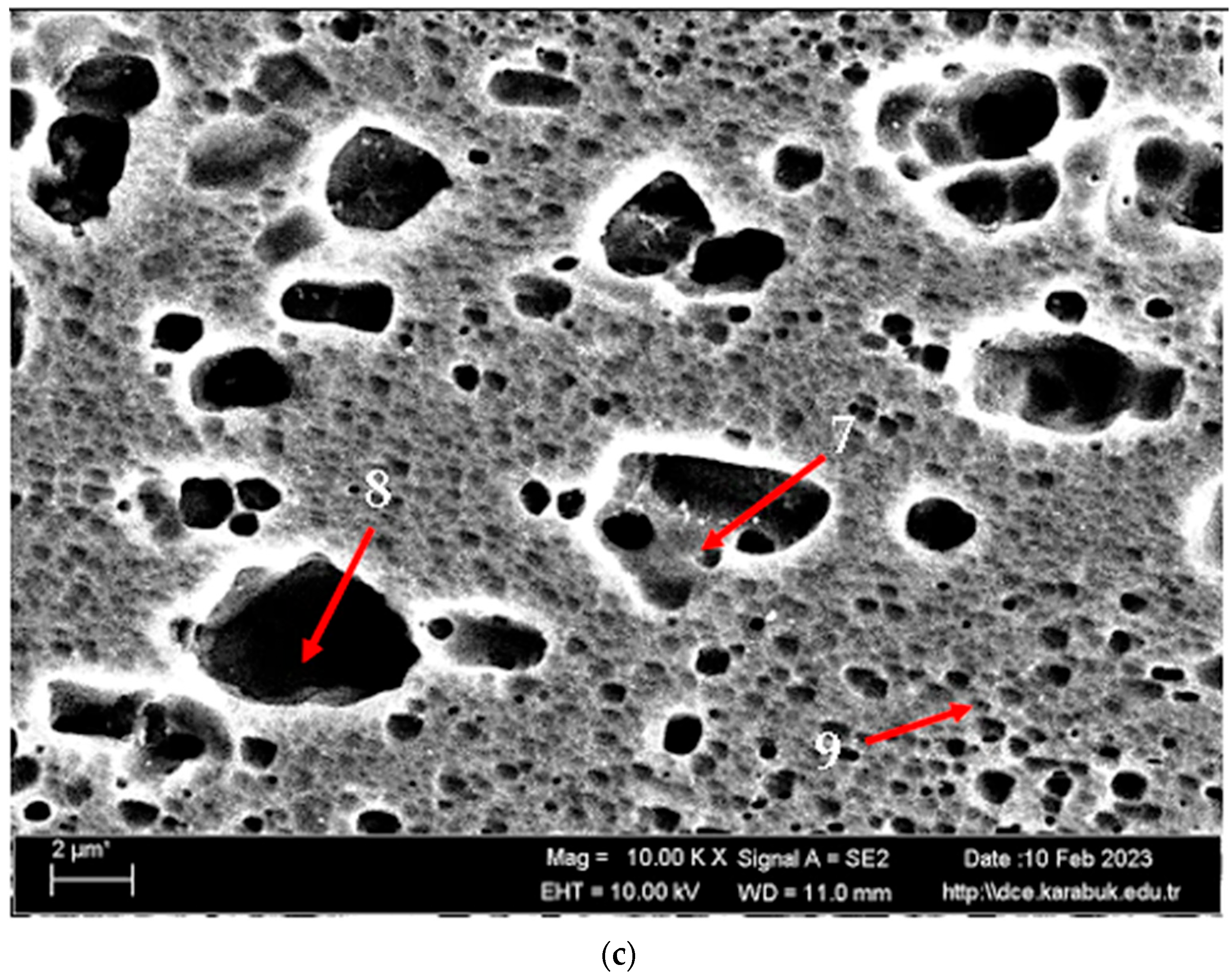 Materials 17 03164 g003b